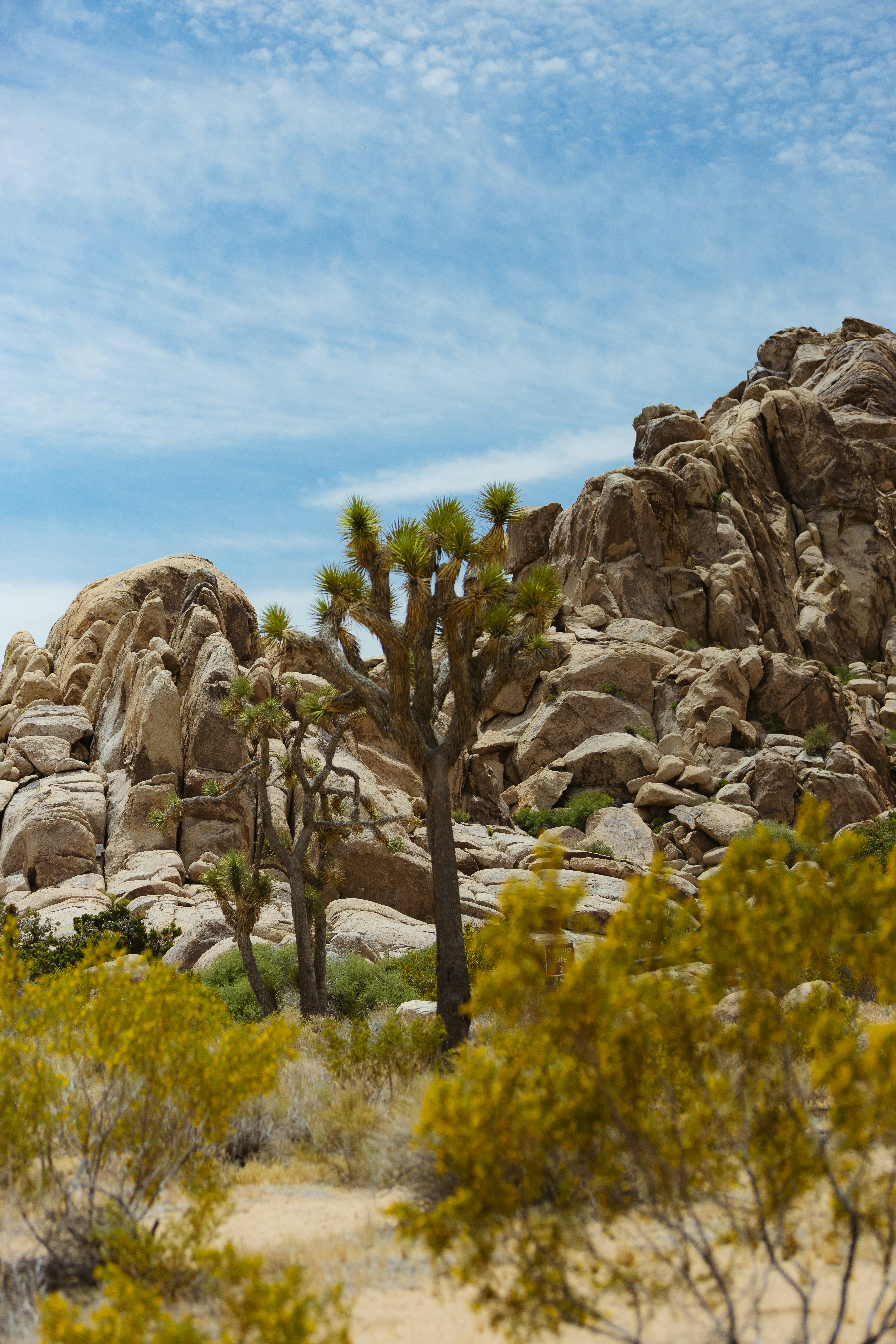 Photo by donovan_valdivia