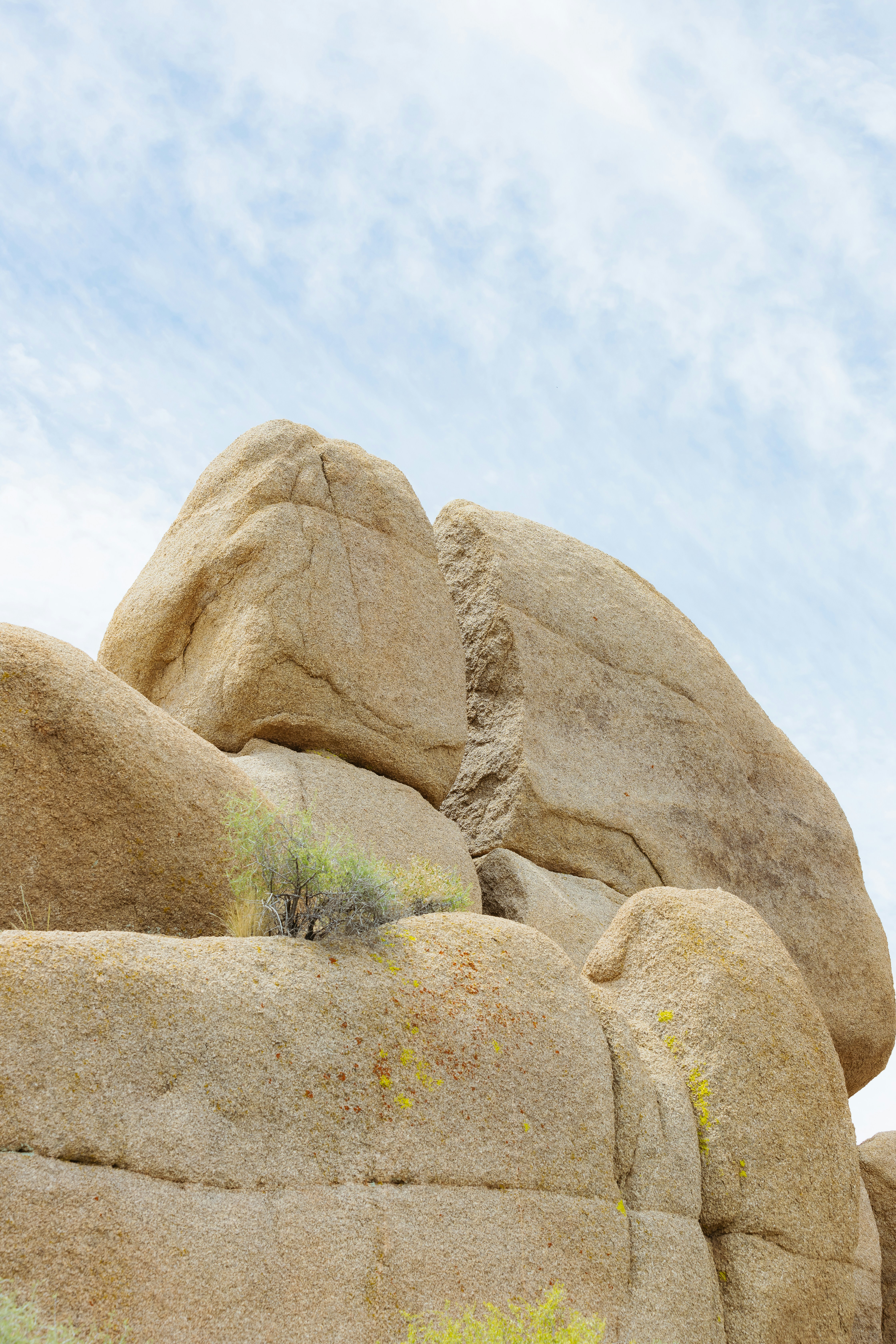 Photo by donovan_valdivia