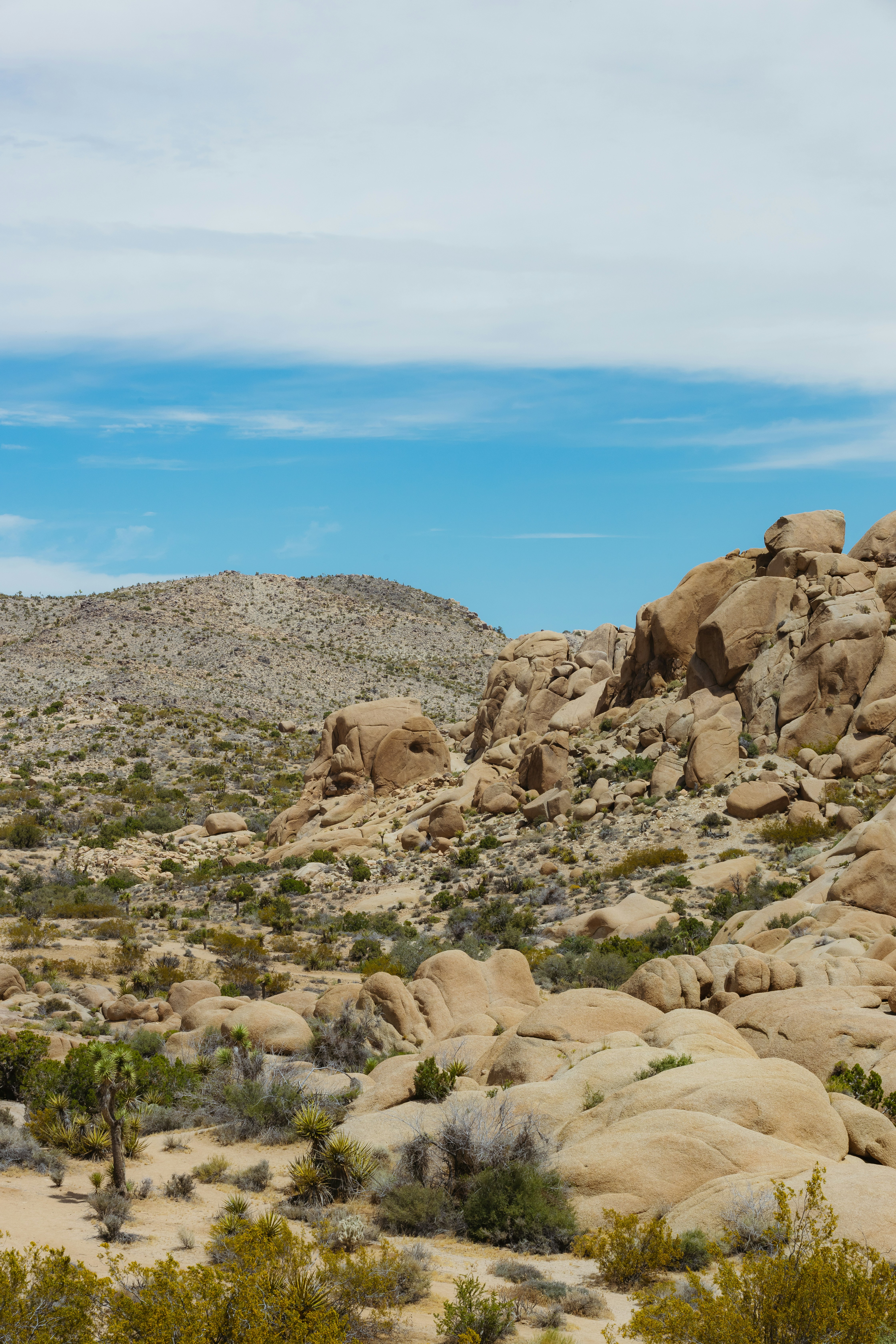 Photo by donovan_valdivia