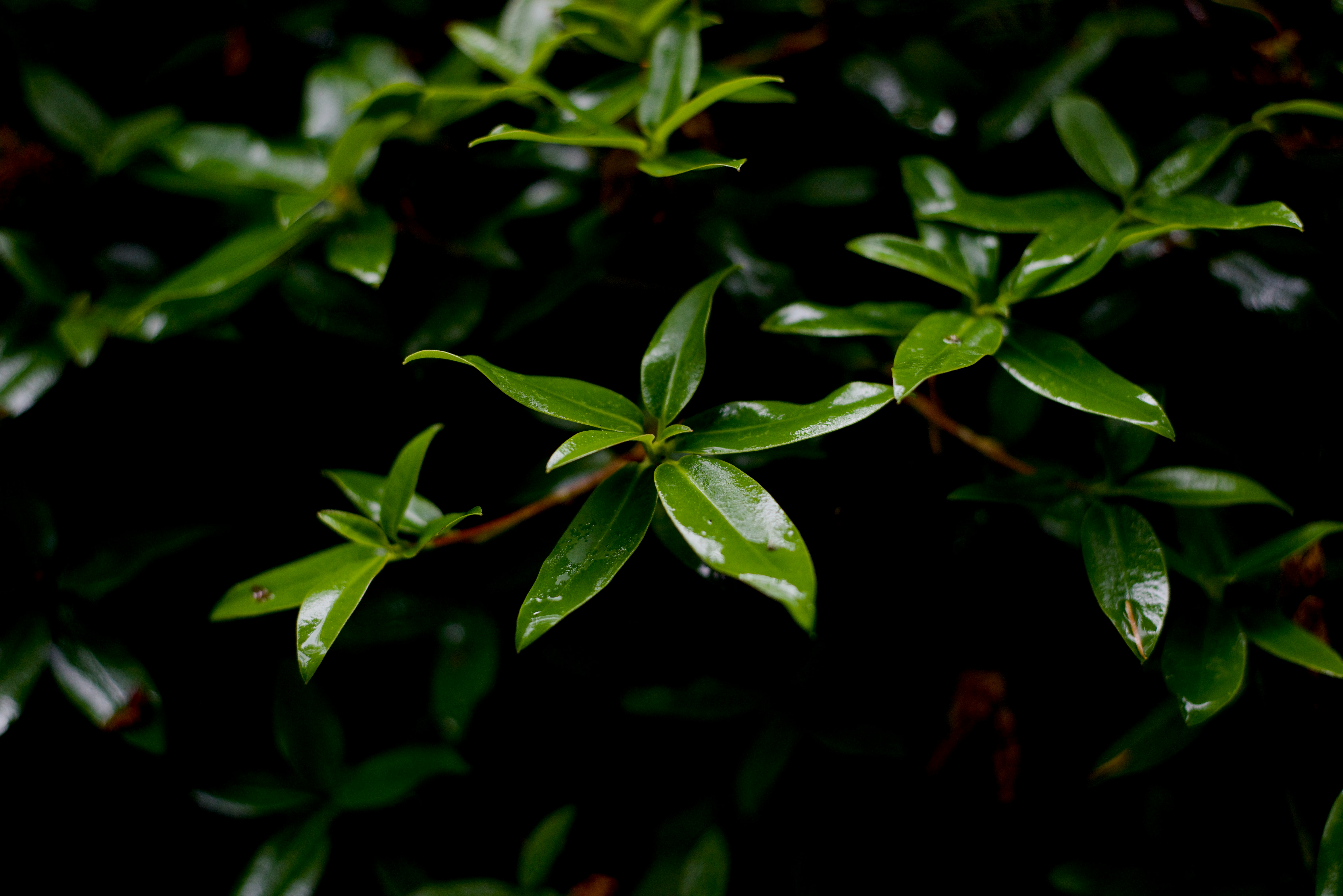 Photo by smithclukas