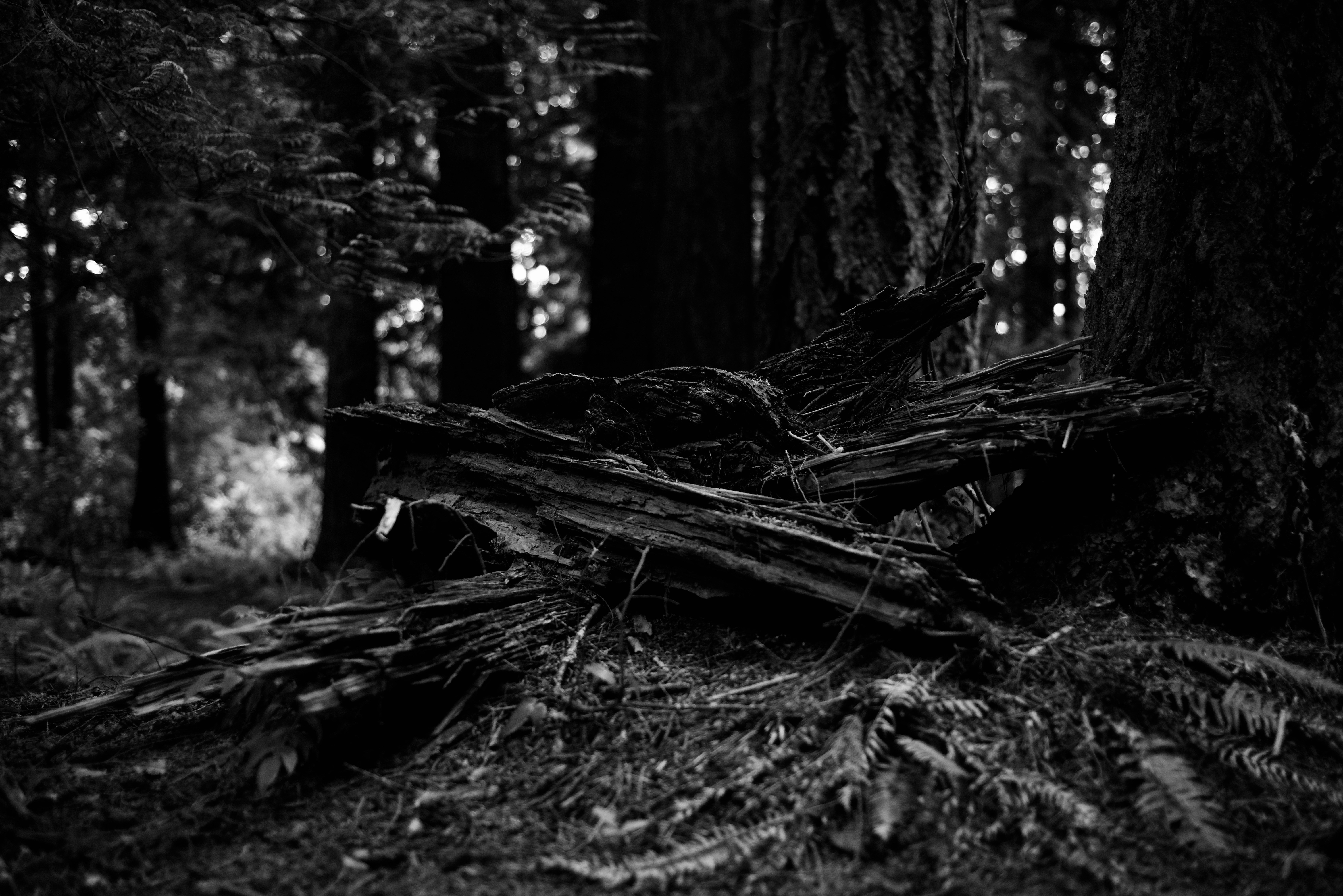 Photo by smithclukas