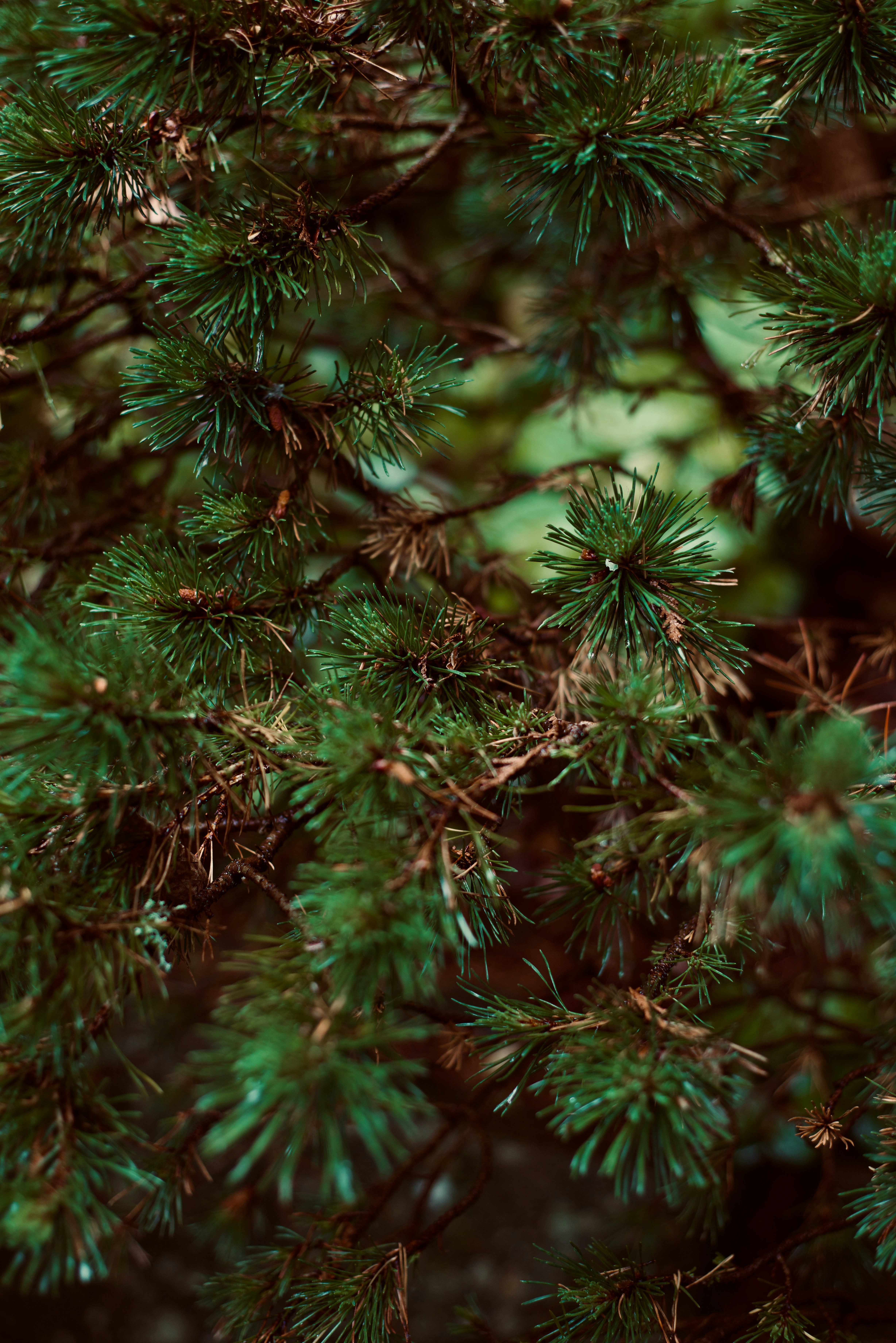 Photo by smithclukas