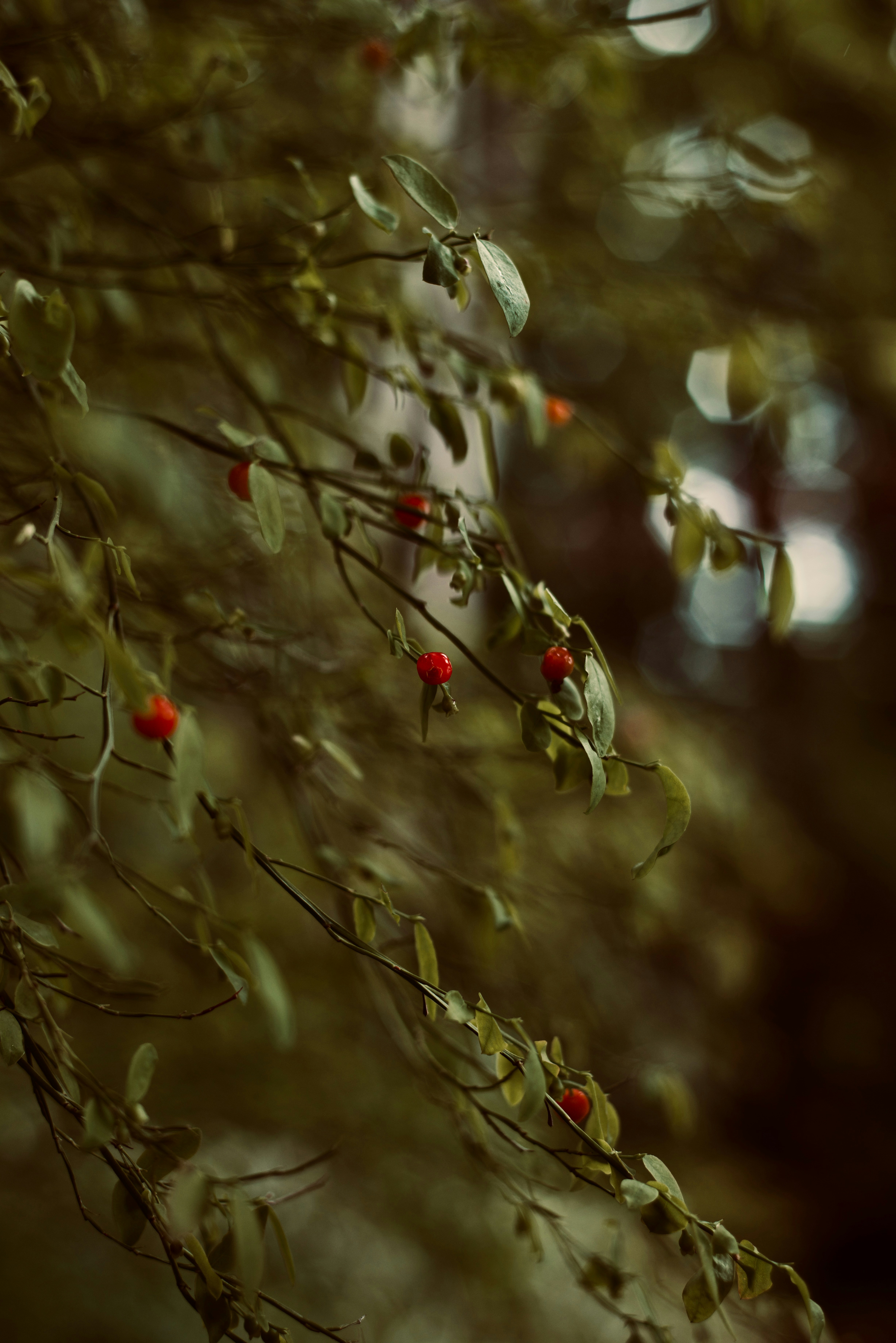 Photo by smithclukas