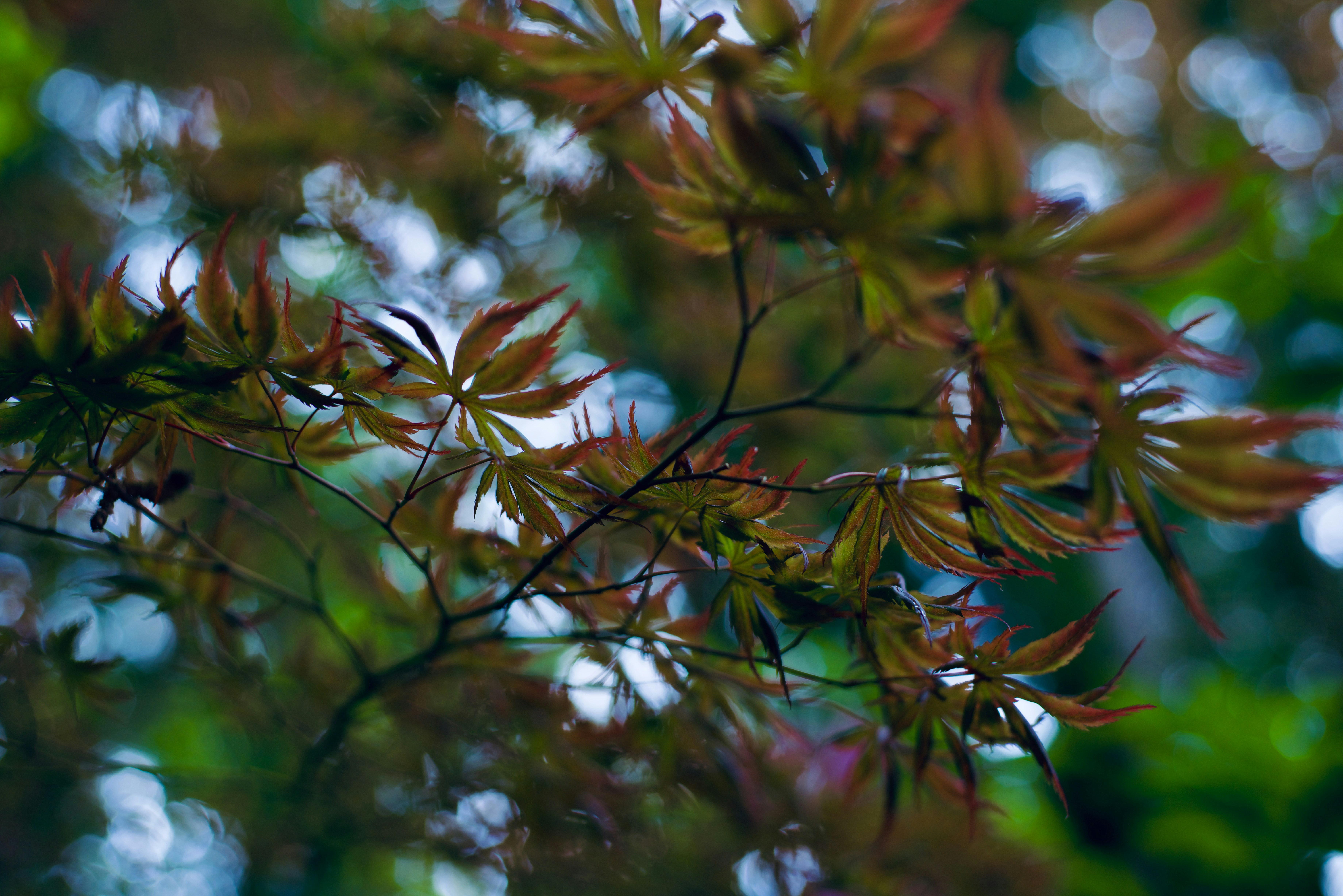 Photo by smithclukas