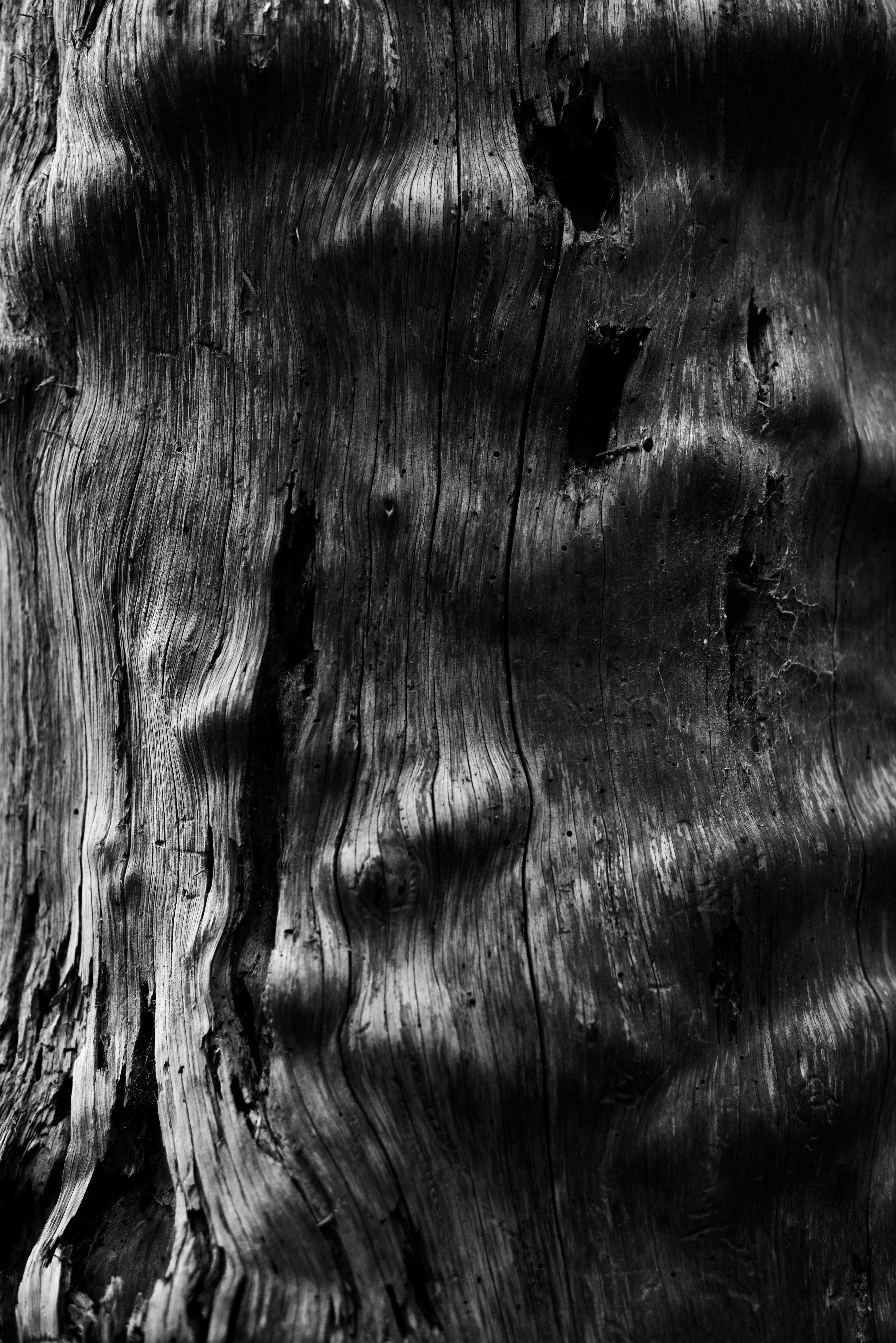 Photo by smithclukas