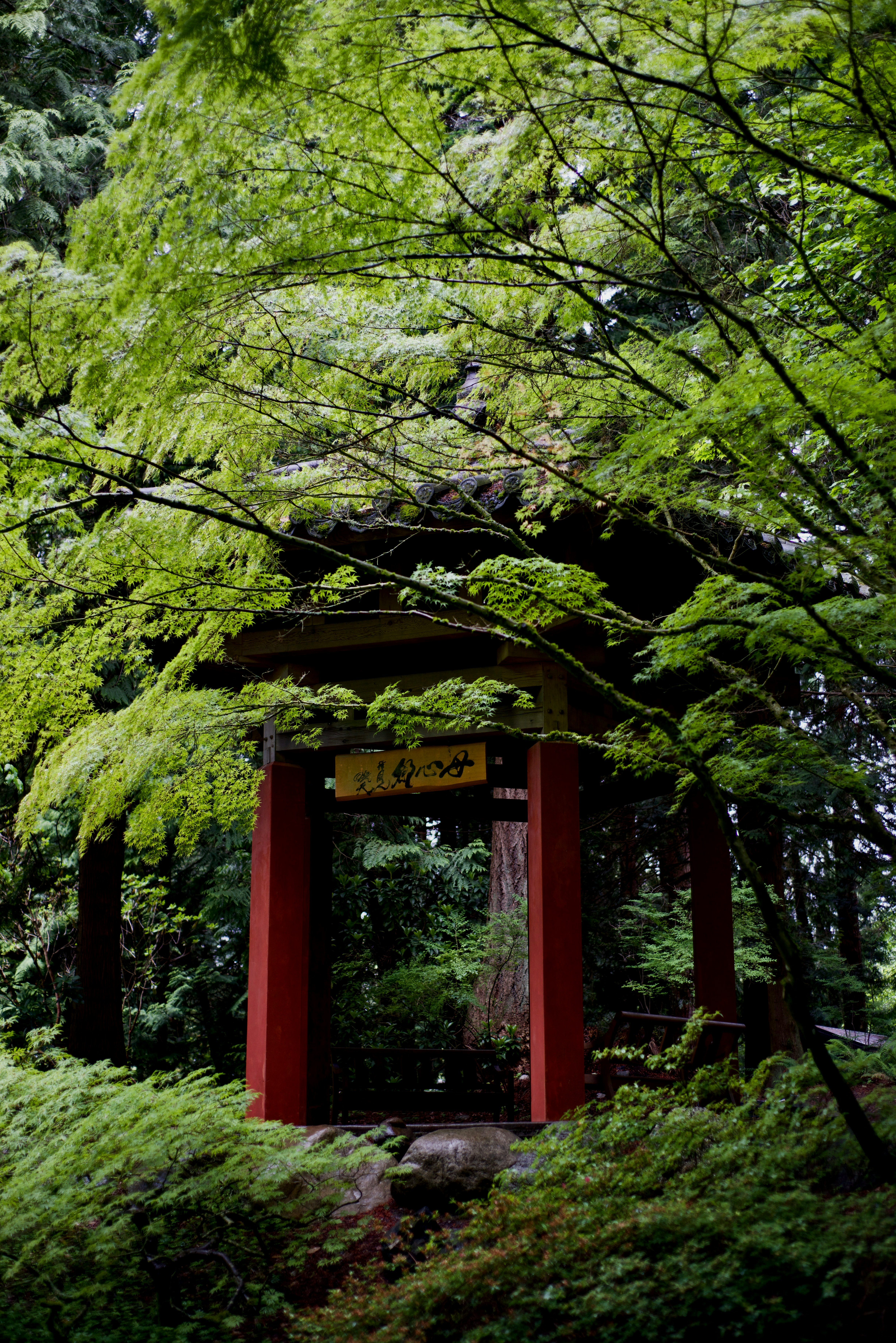 Photo by smithclukas