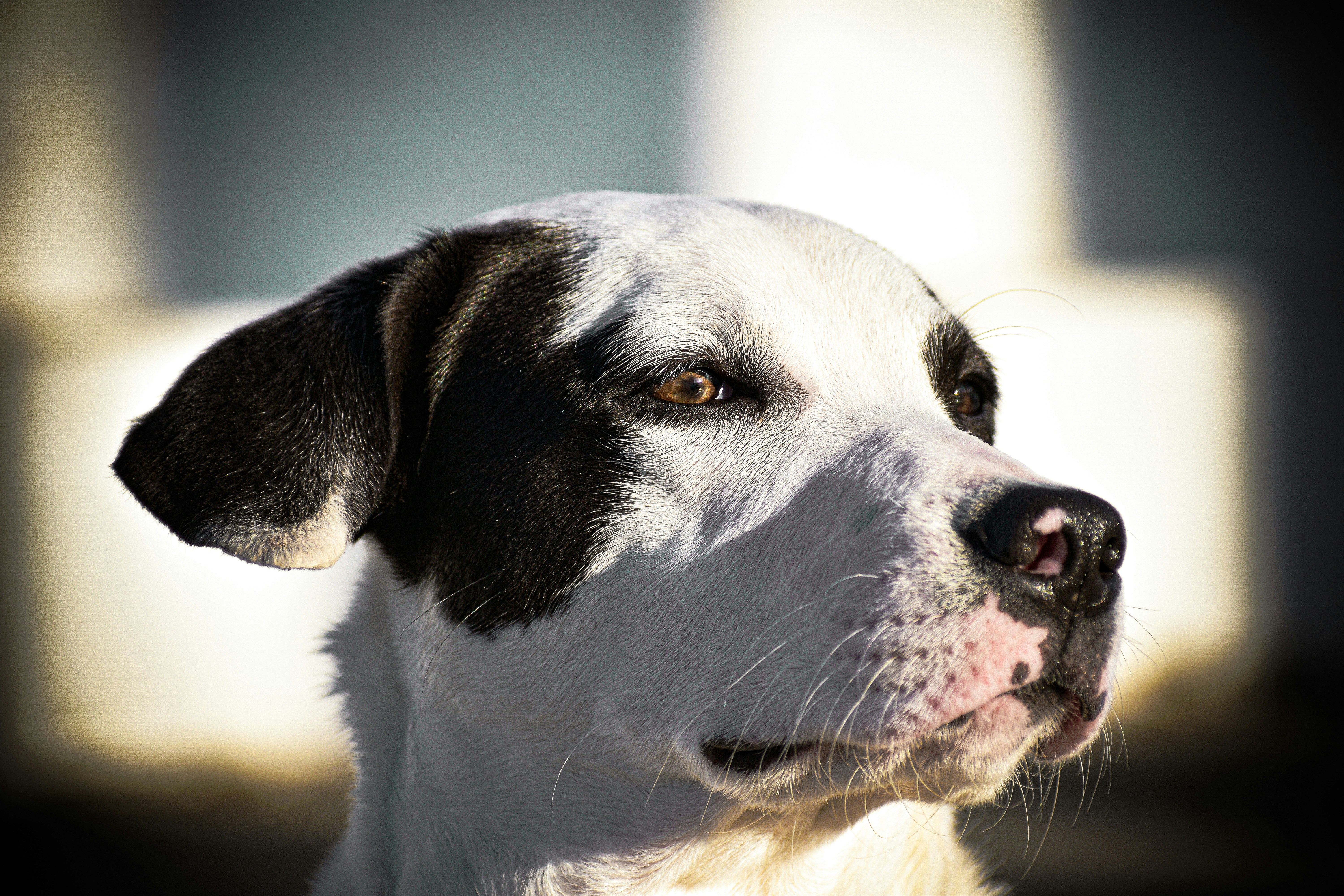 Photo by navalrathore_10