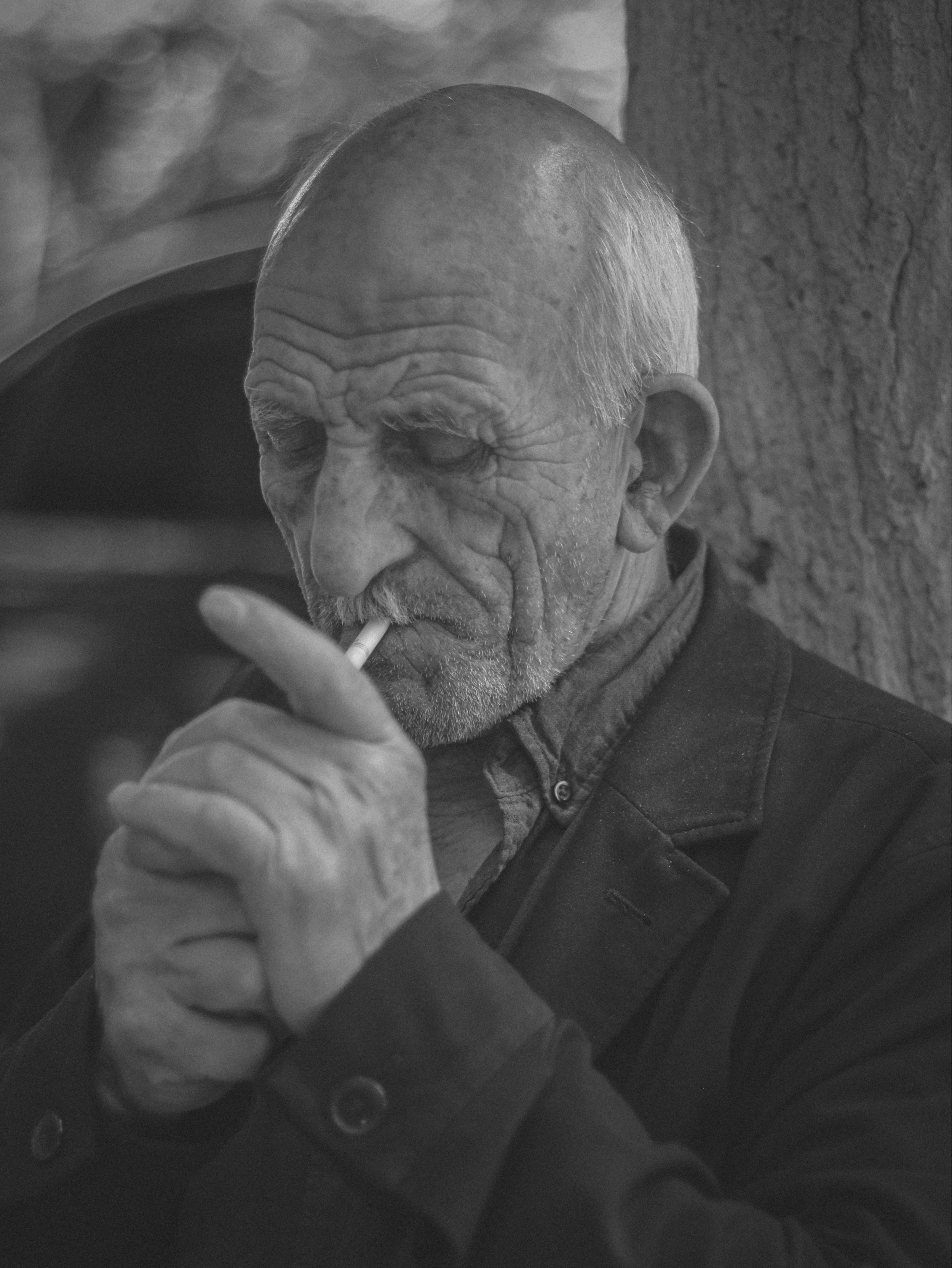 Photo by _alipilevar