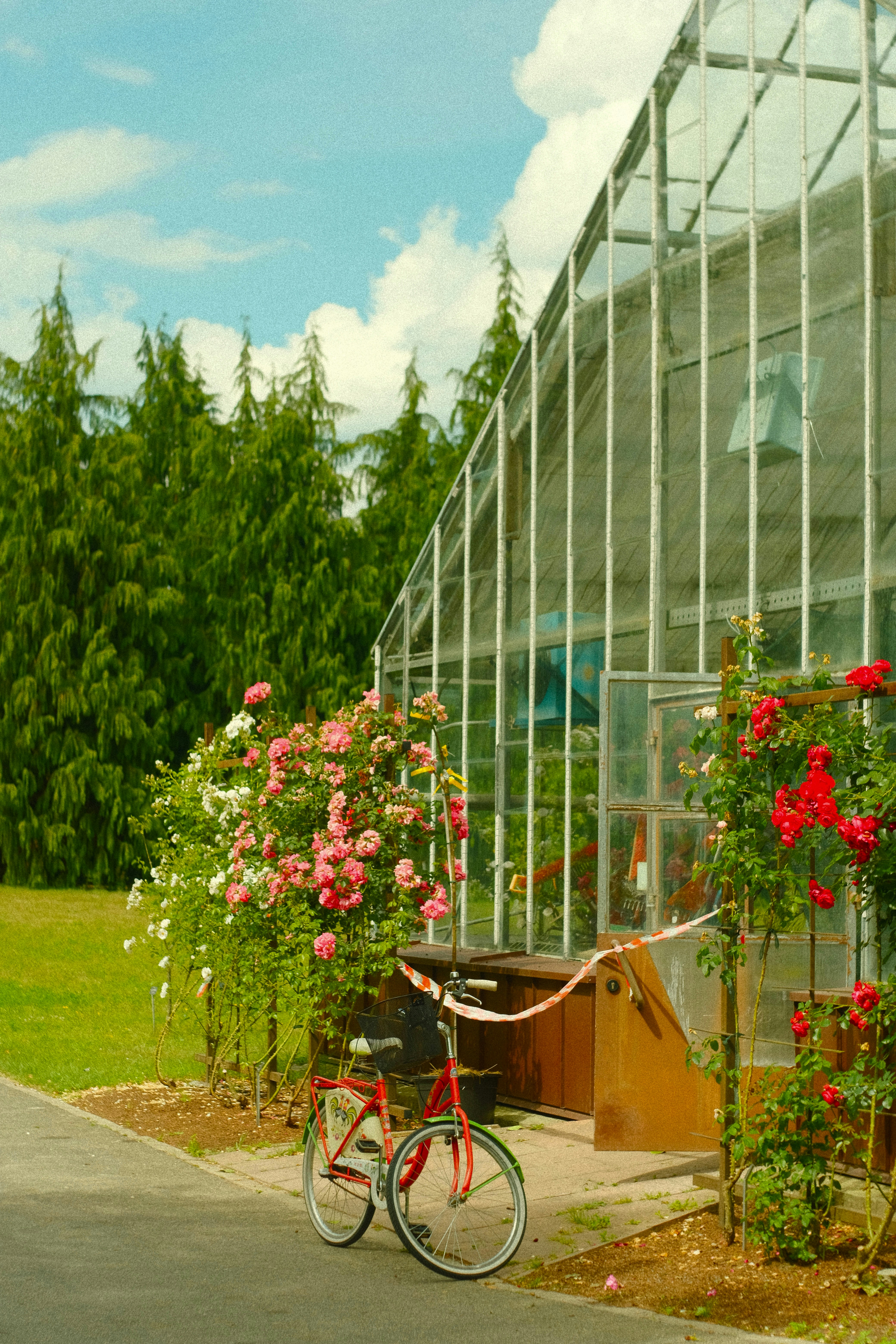 A bicycle parked in front of a glass house