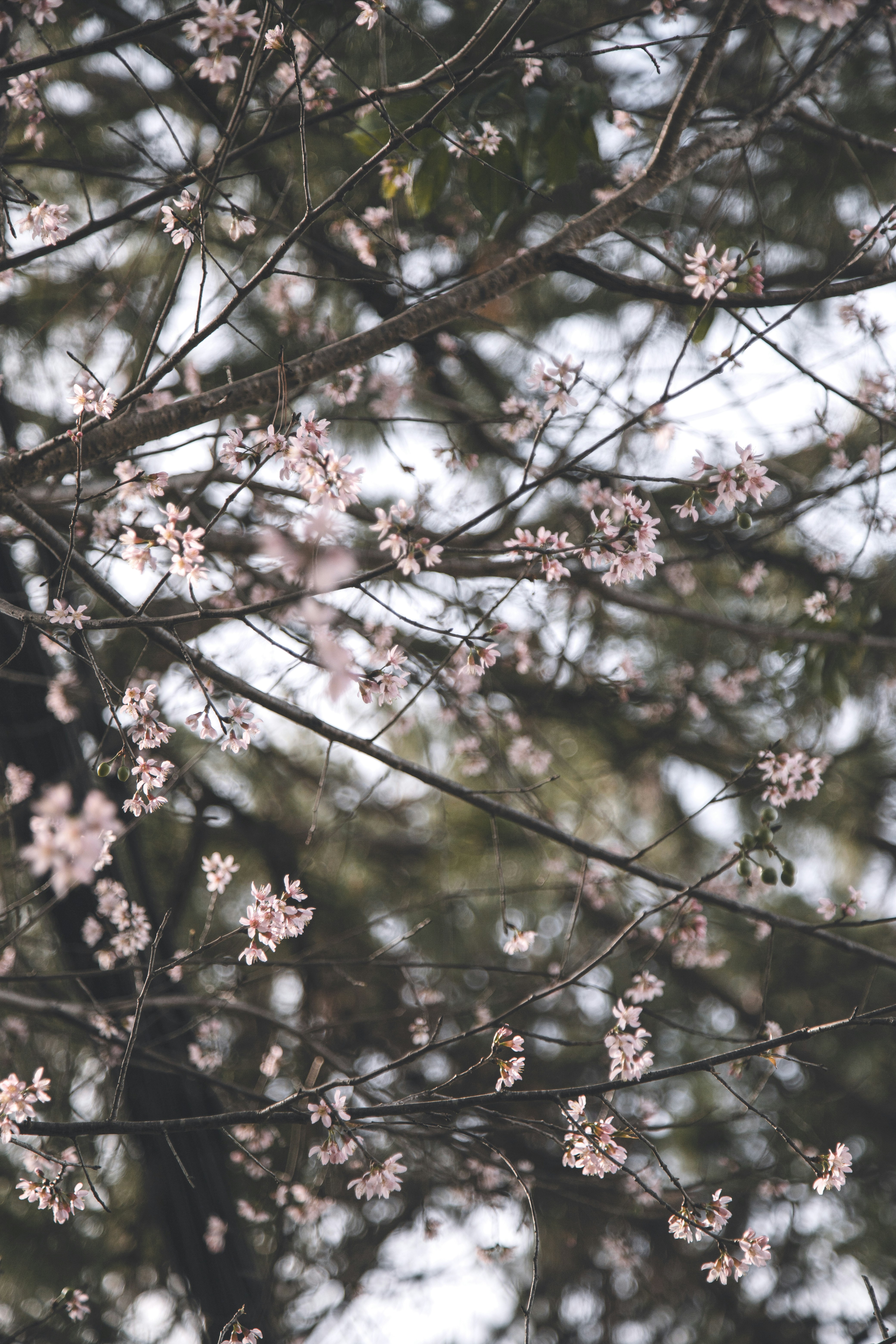 Photo by huy_nguyen_minh