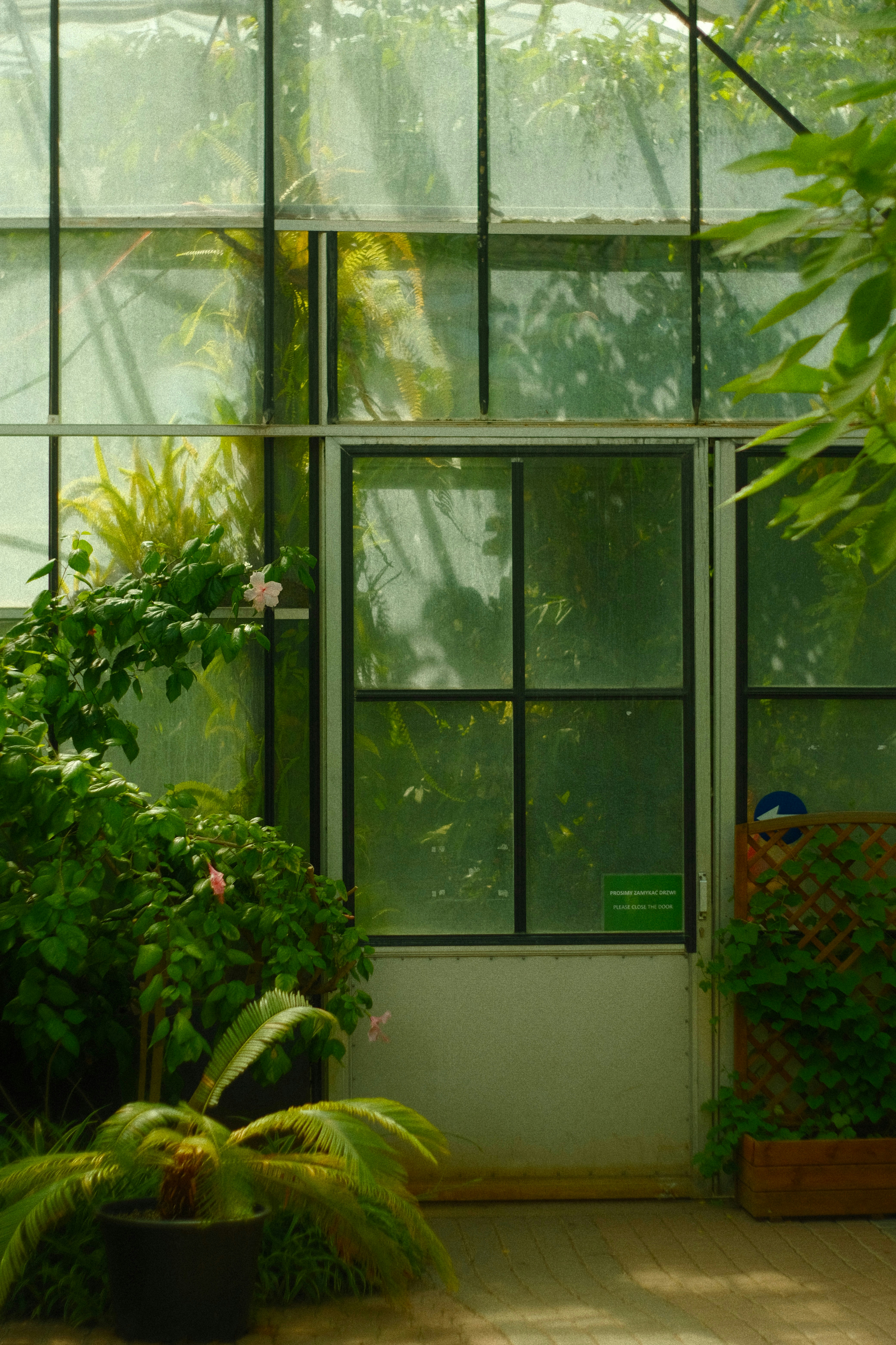 A room filled with lots of green plants next to a window