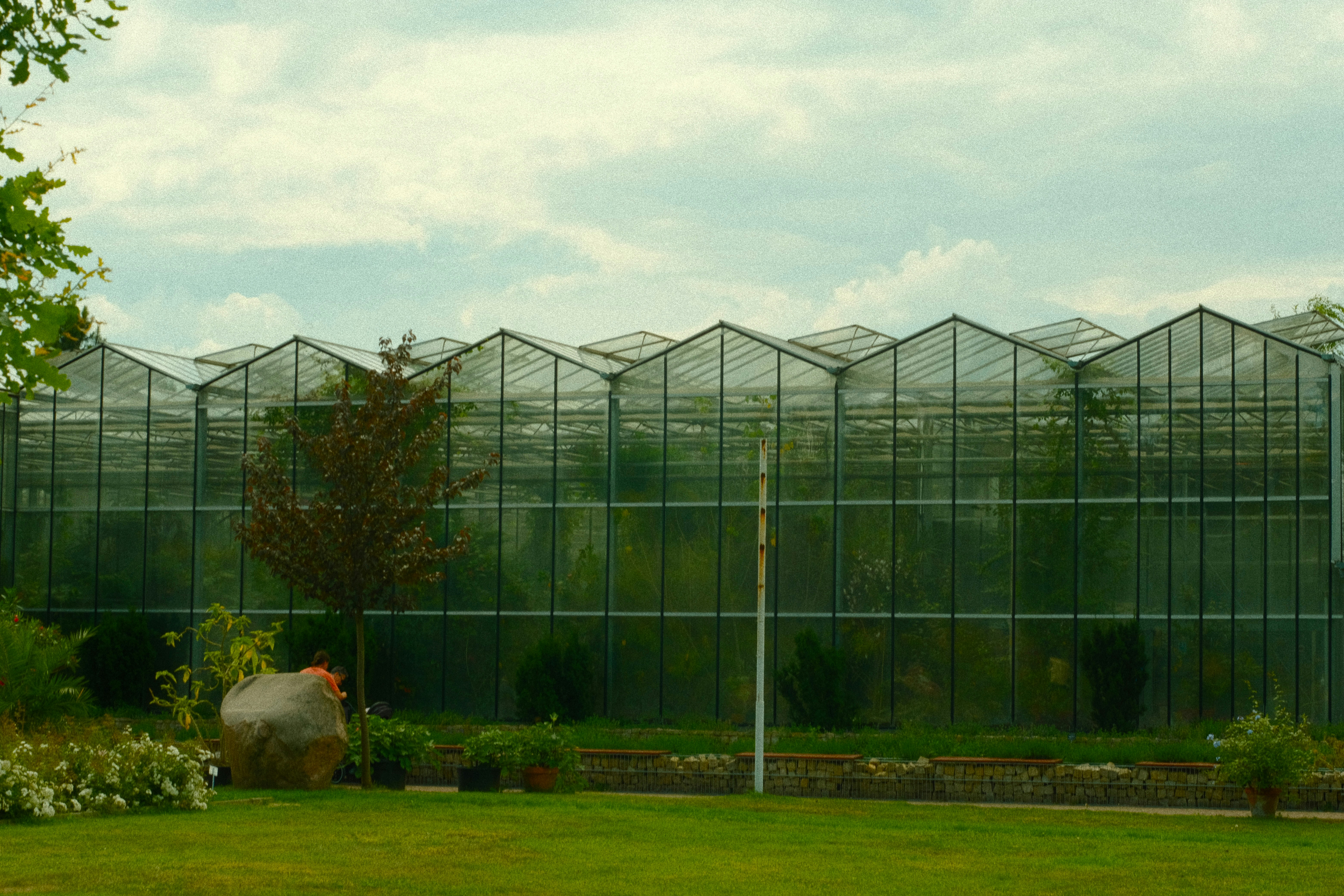 A large green house with a clock in the middle of it