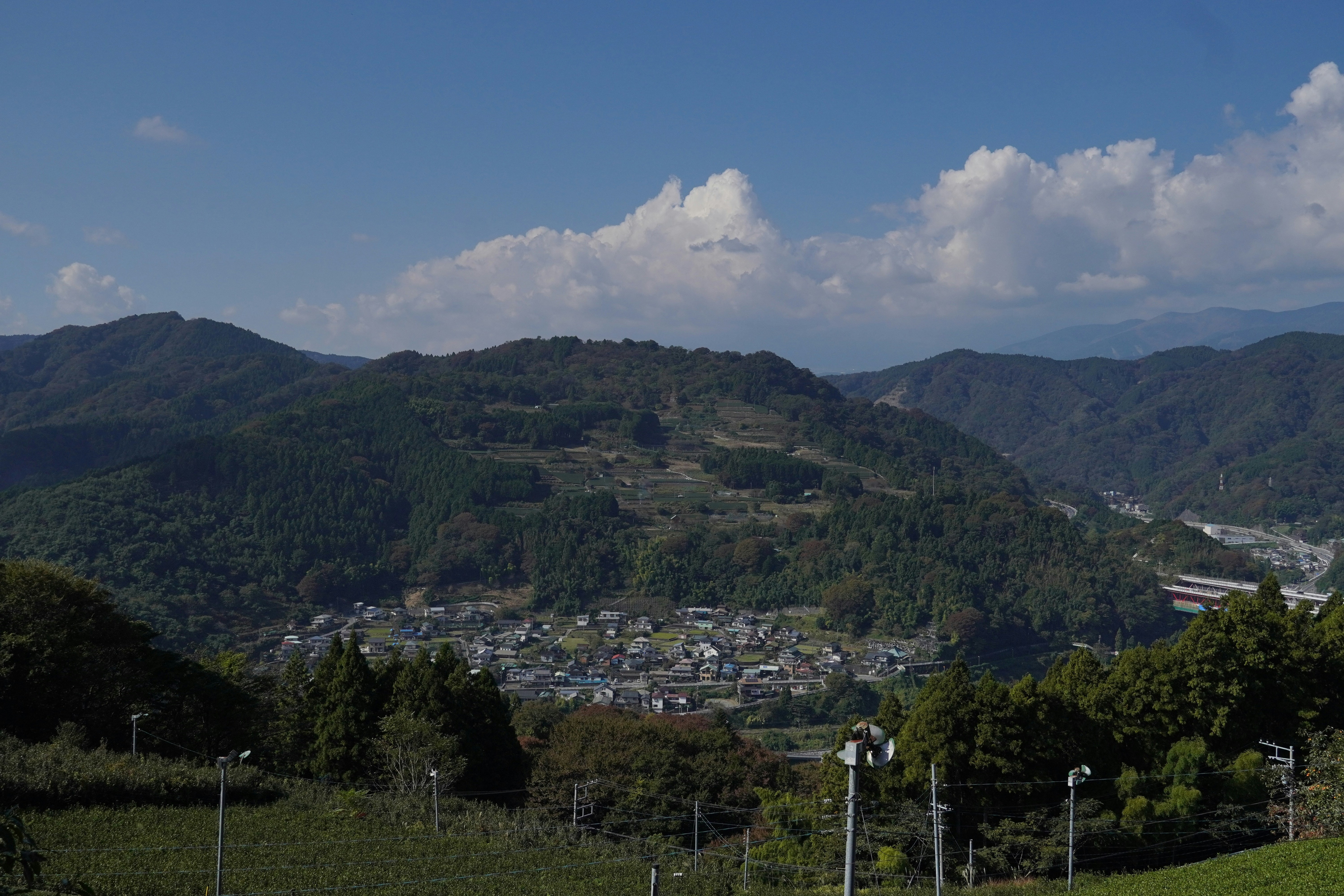 Photo by dsnphotography