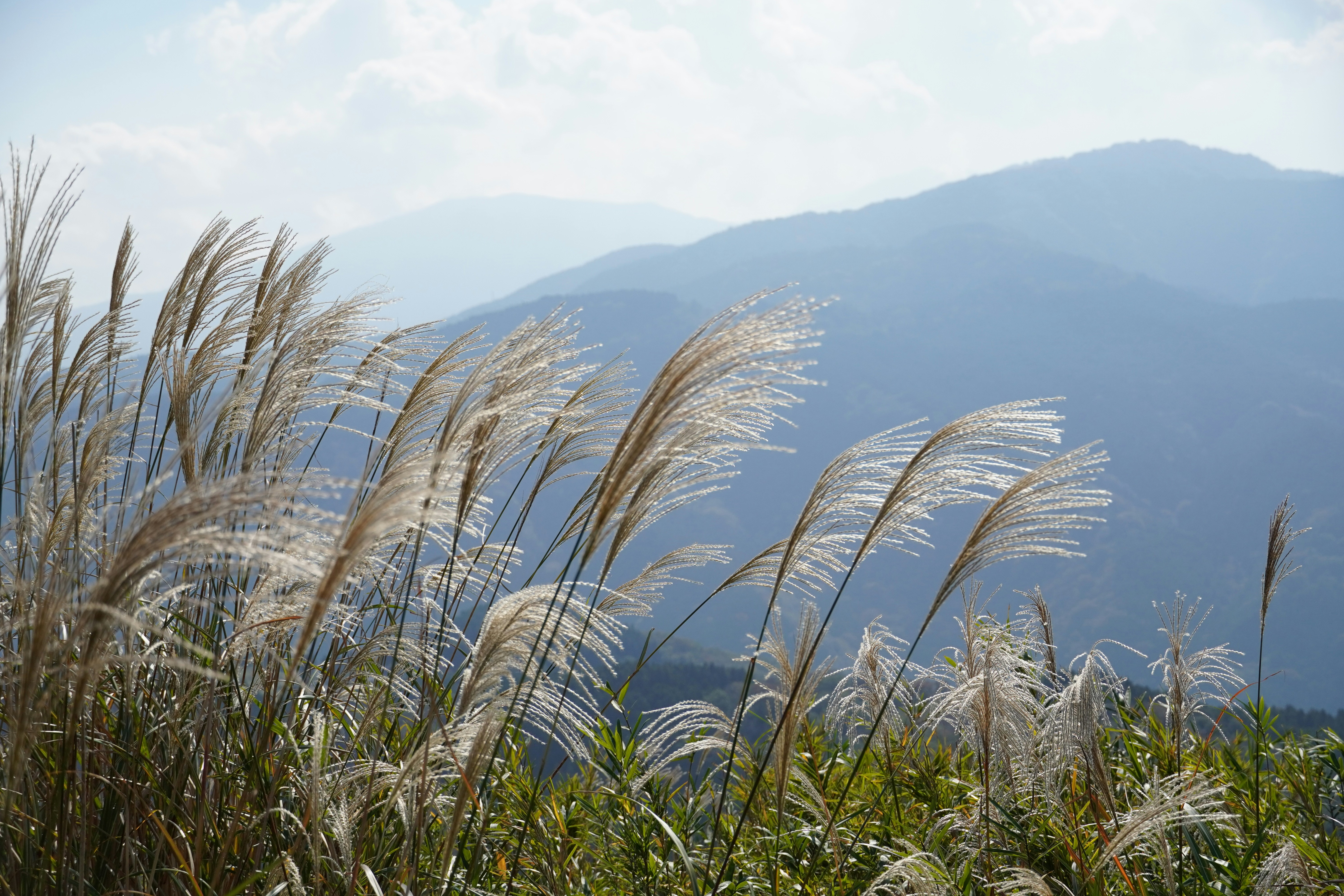 Photo by dsnphotography