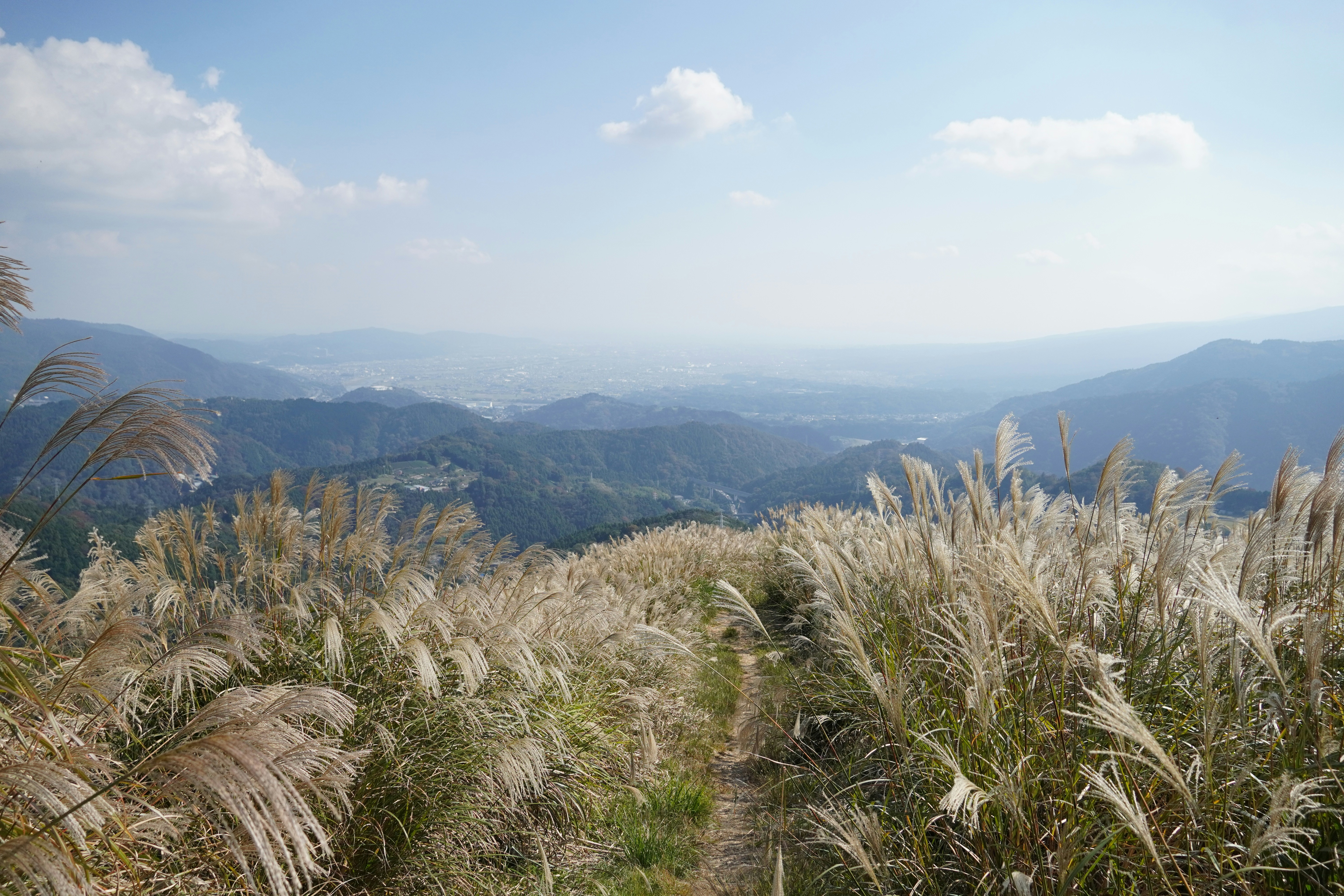 Photo by dsnphotography