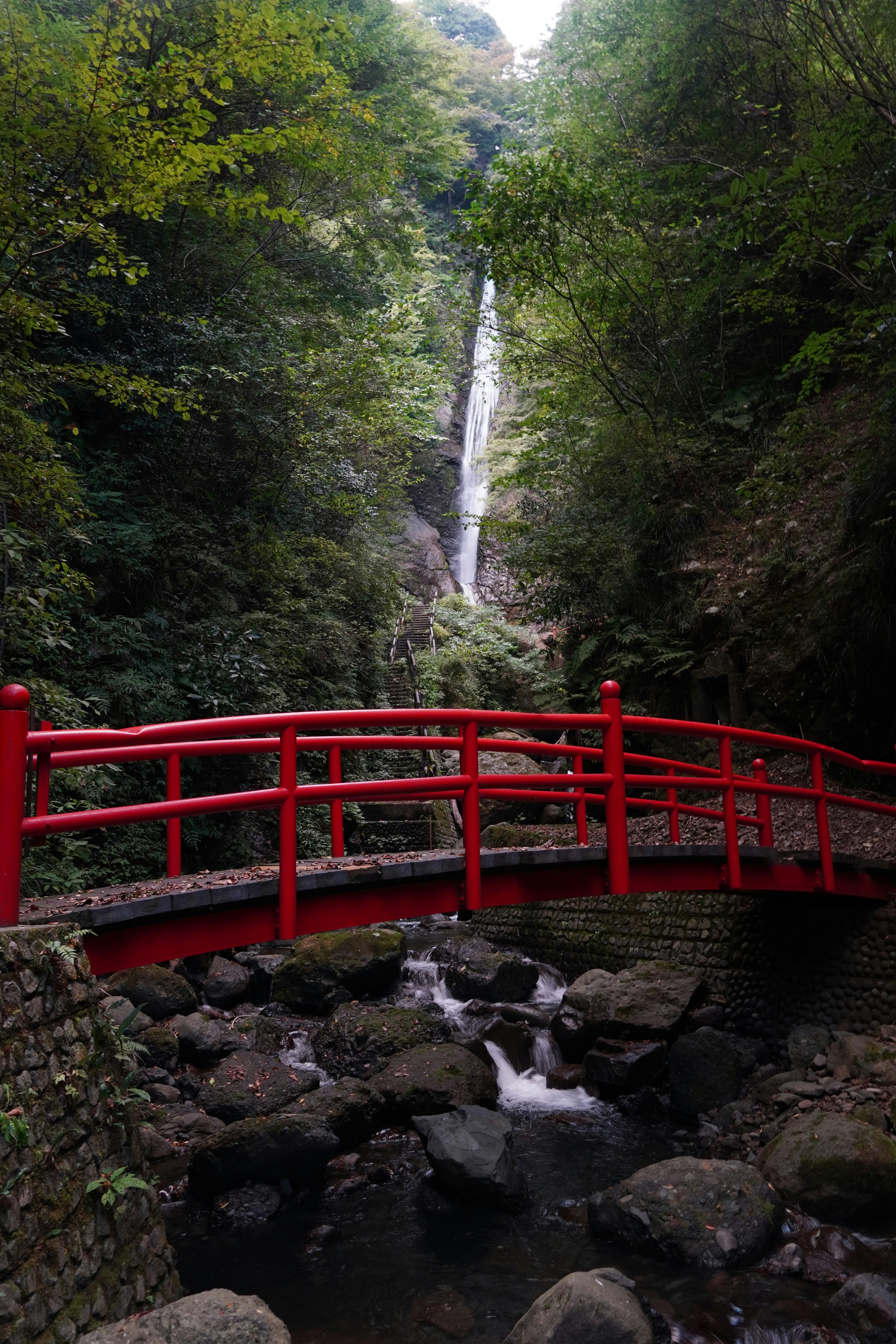 A red bridge over a stream in a forest