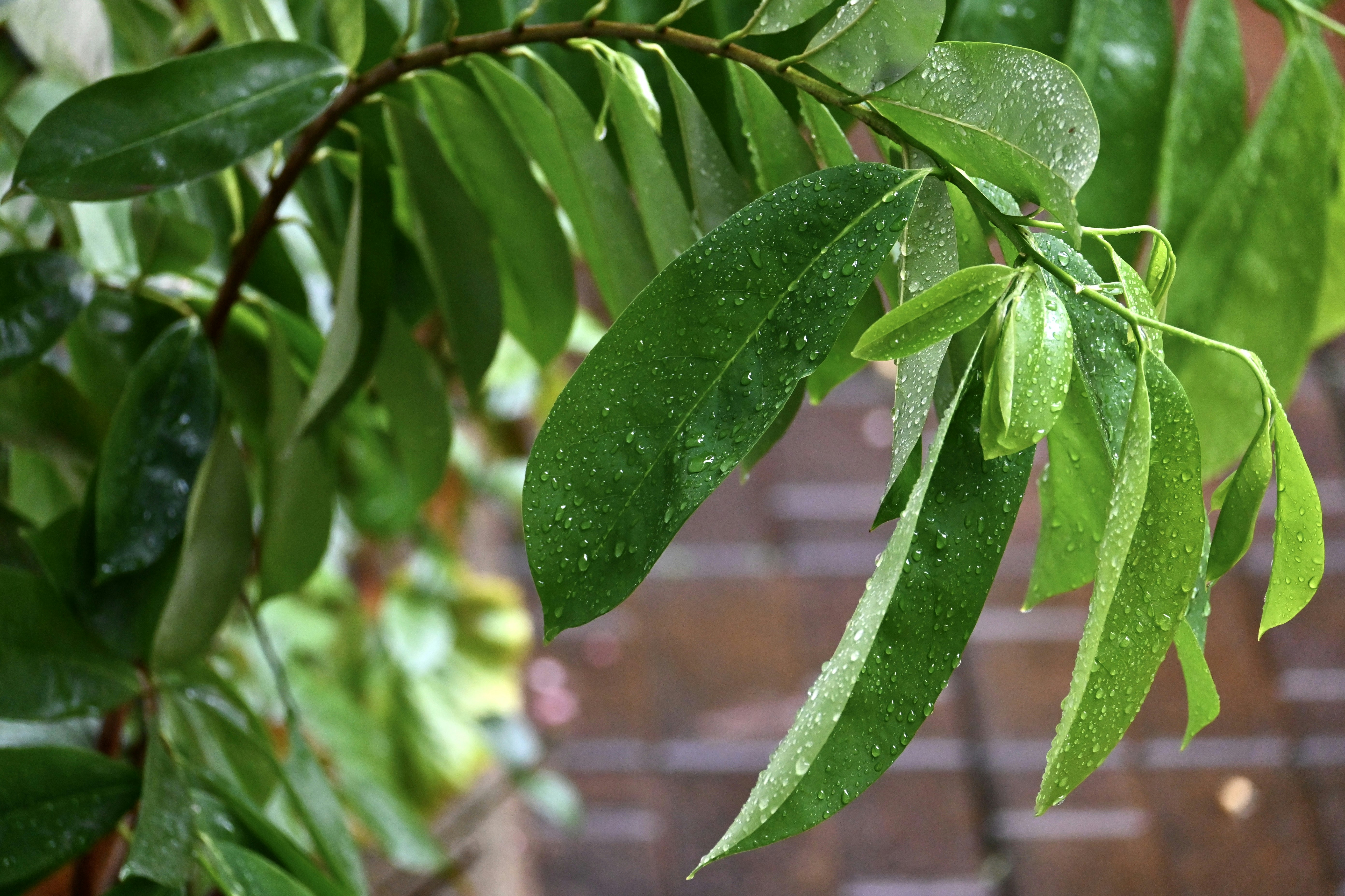 Photo by praswinprakashan