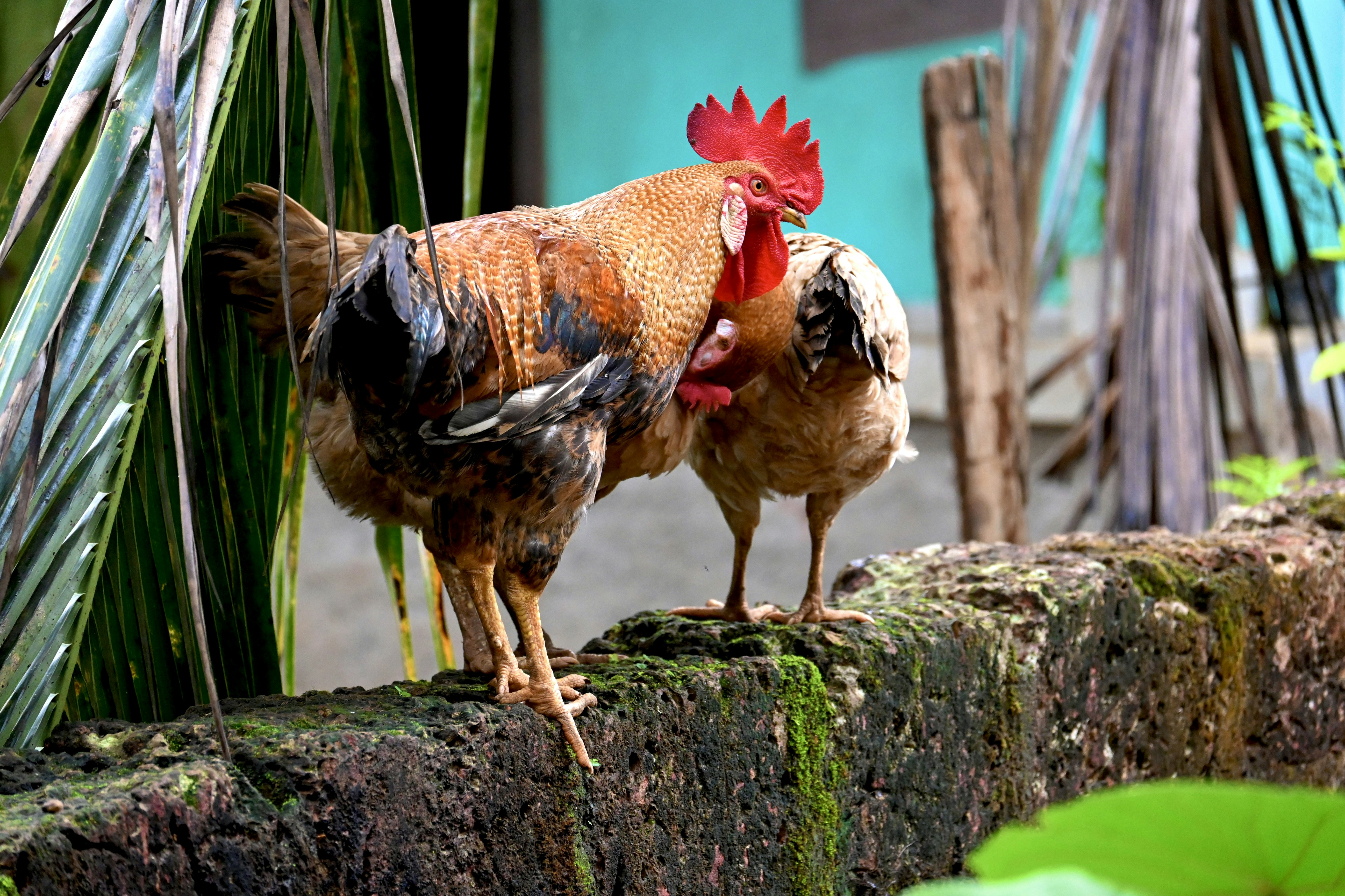 Photo by praswinprakashan