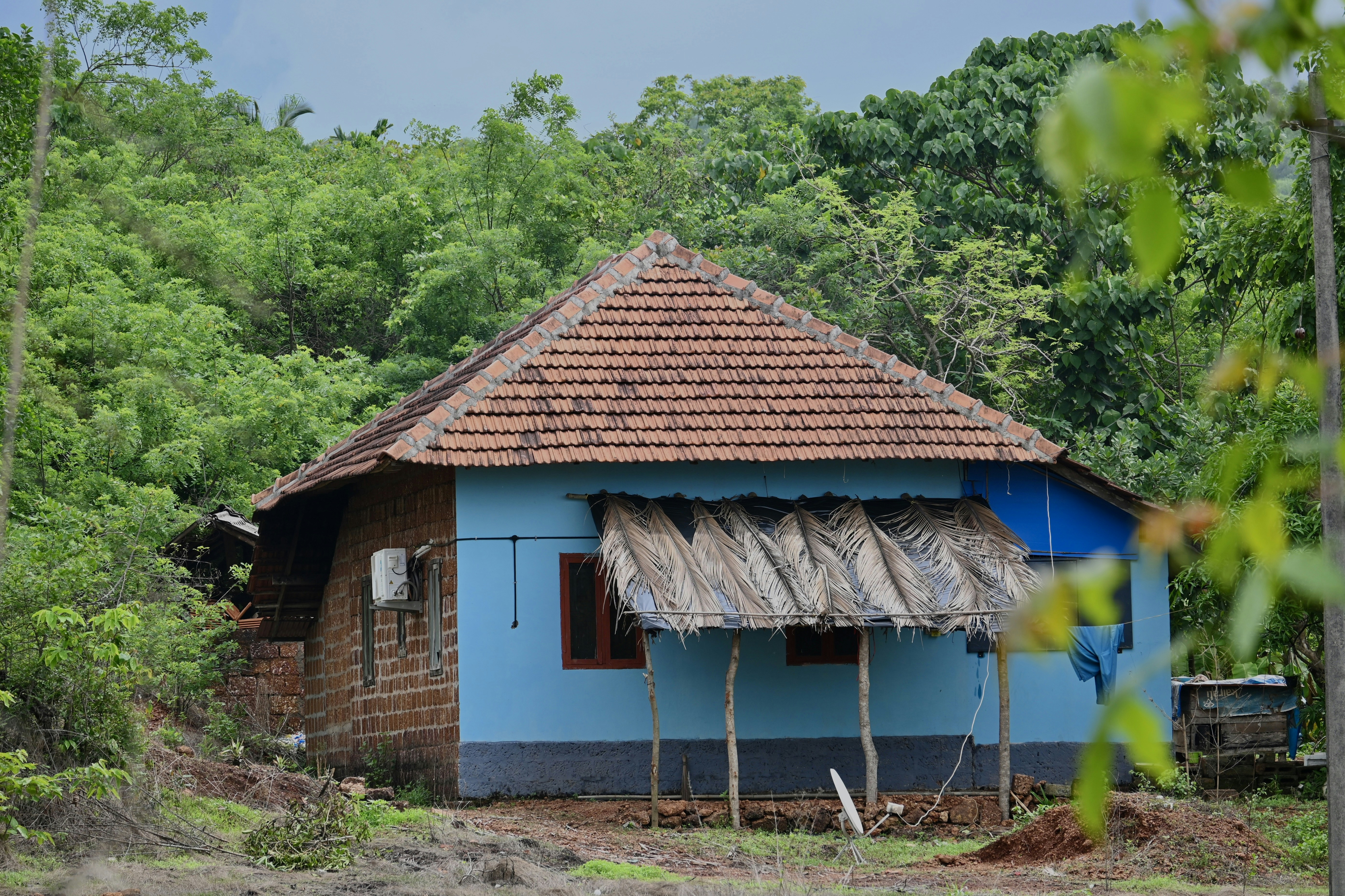 A blue house with a brown roof surrounded by trees