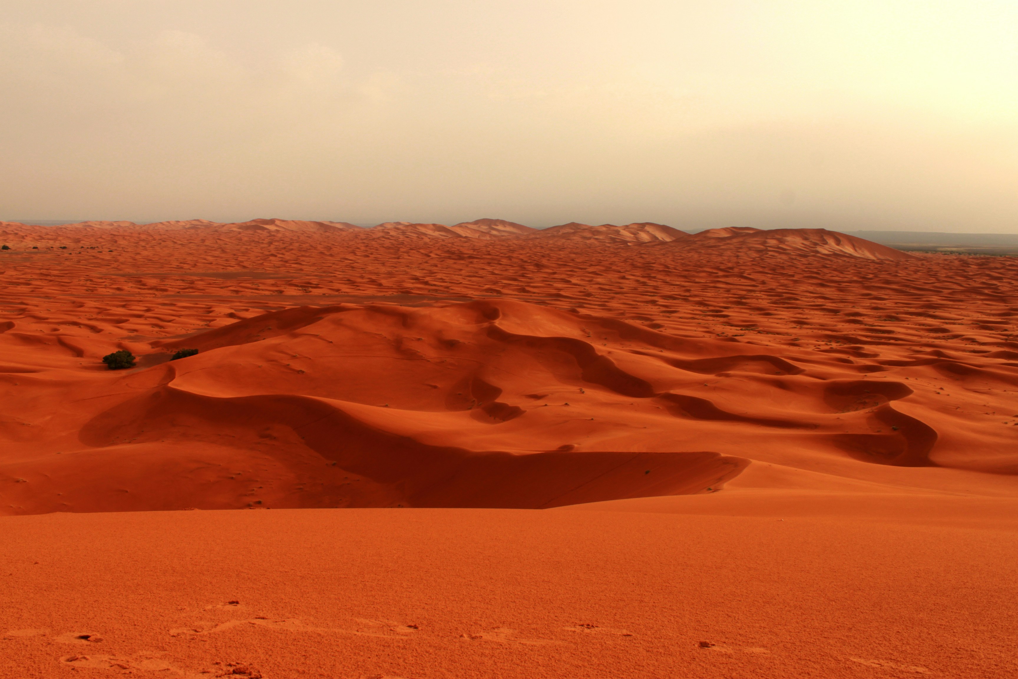 Photo by miguelbaixauli