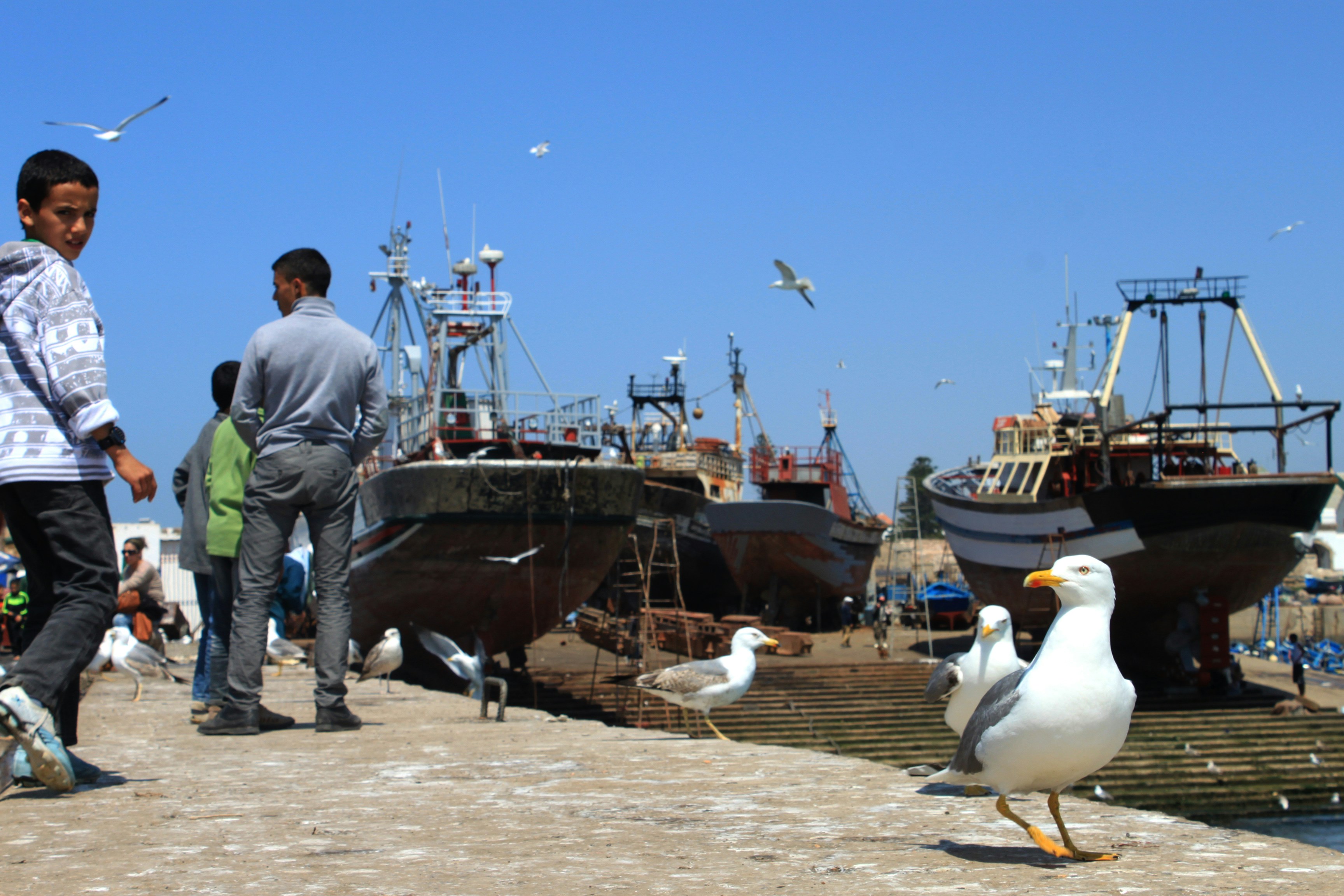 Photo by miguelbaixauli