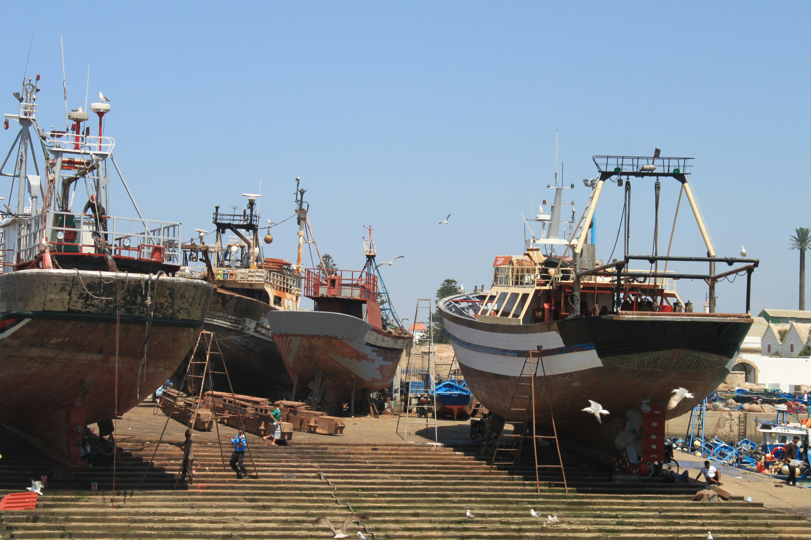 Photo by miguelbaixauli