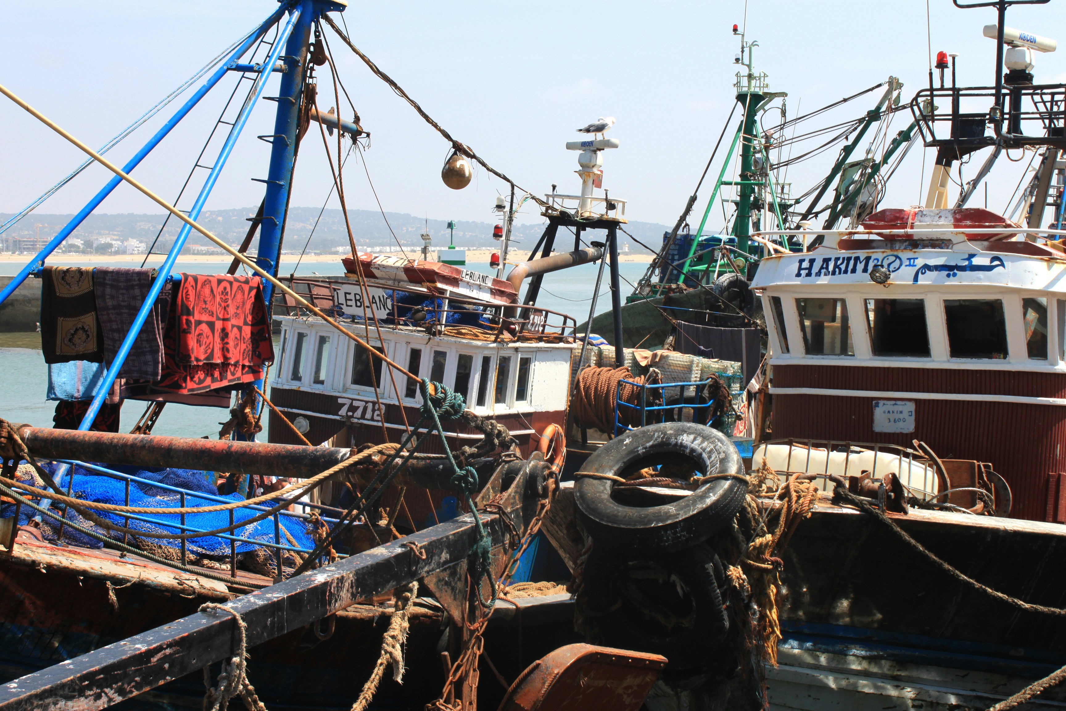 Photo by miguelbaixauli