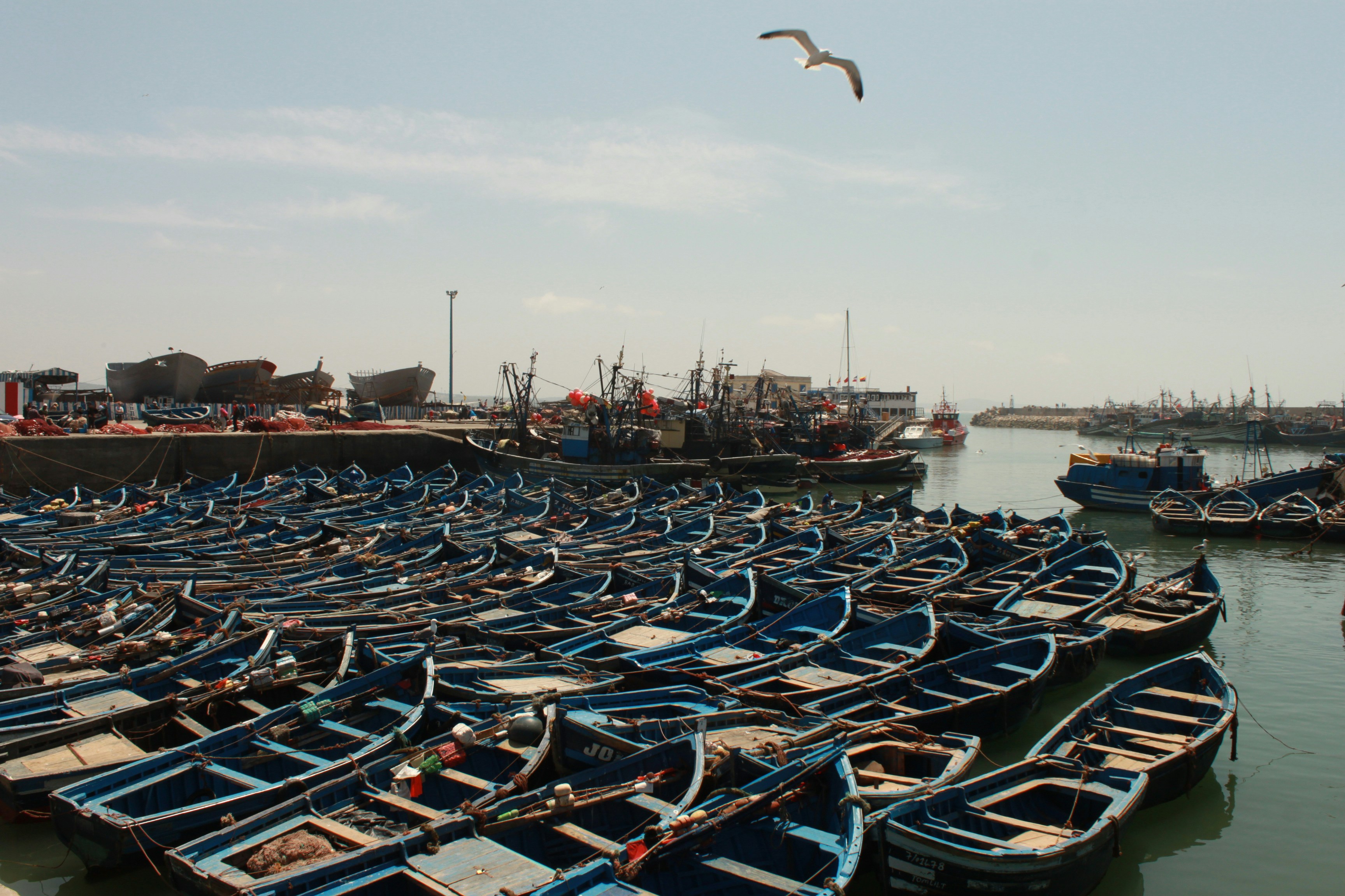 Photo by miguelbaixauli