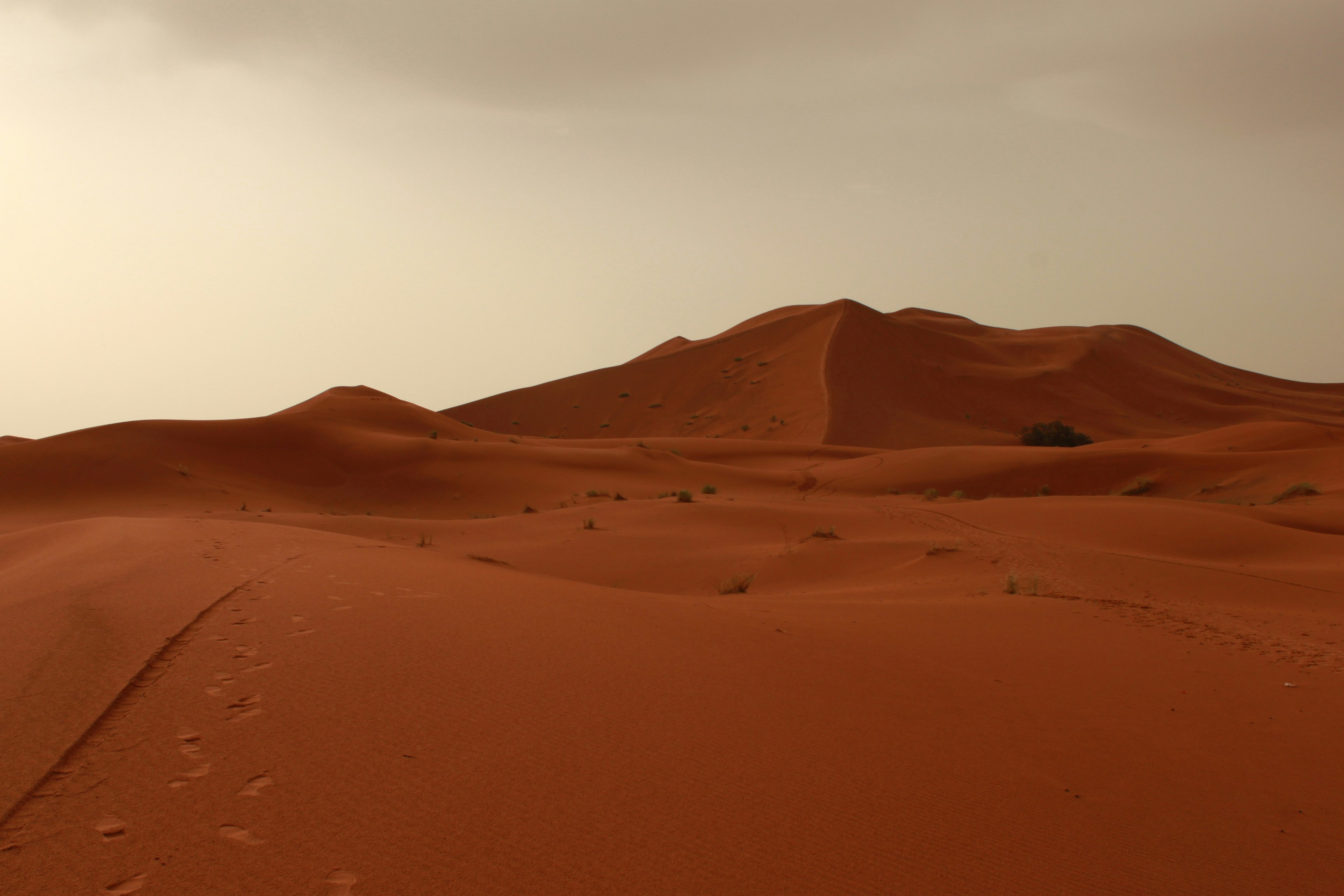 Photo by miguelbaixauli