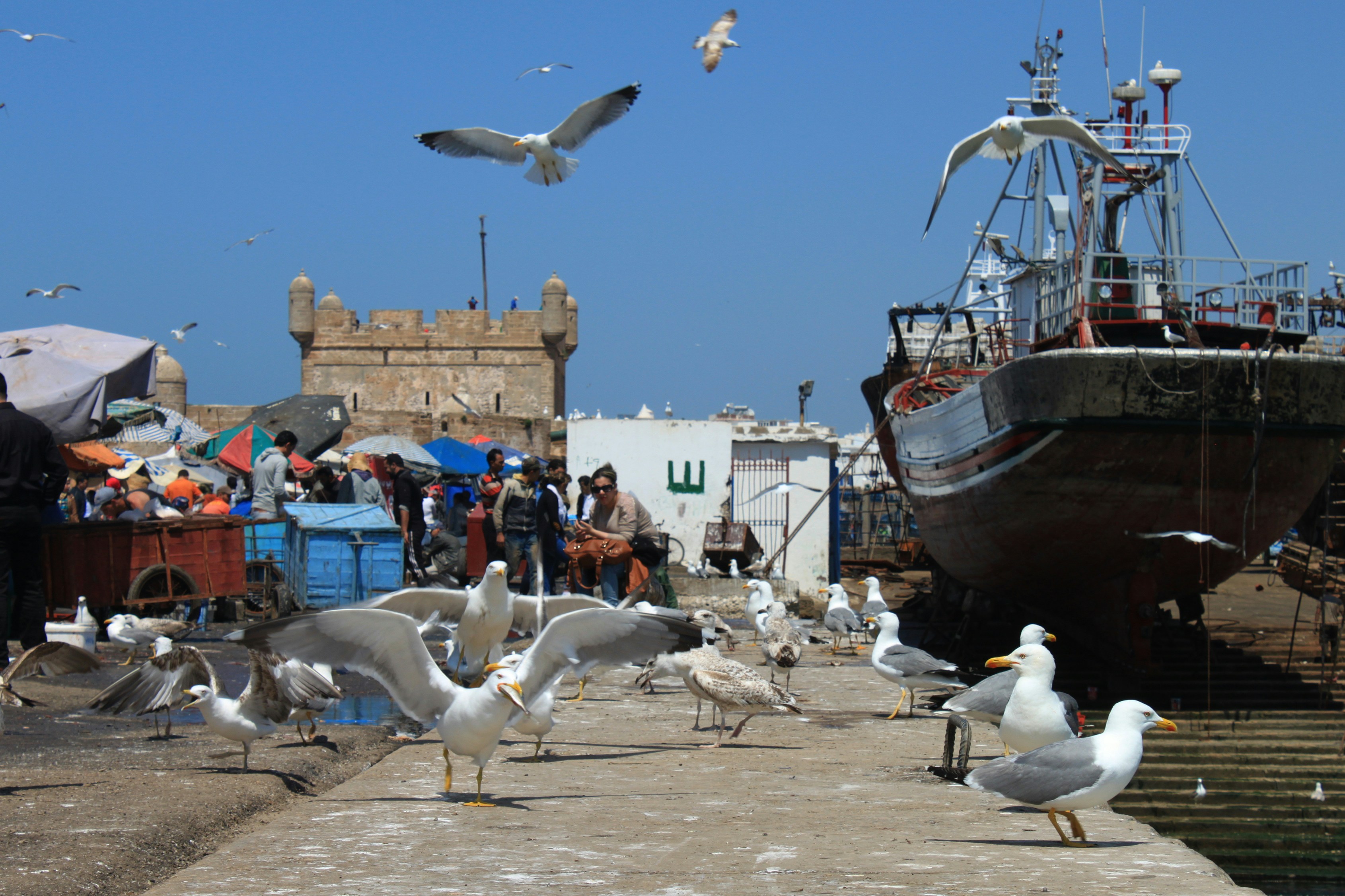 Photo by miguelbaixauli