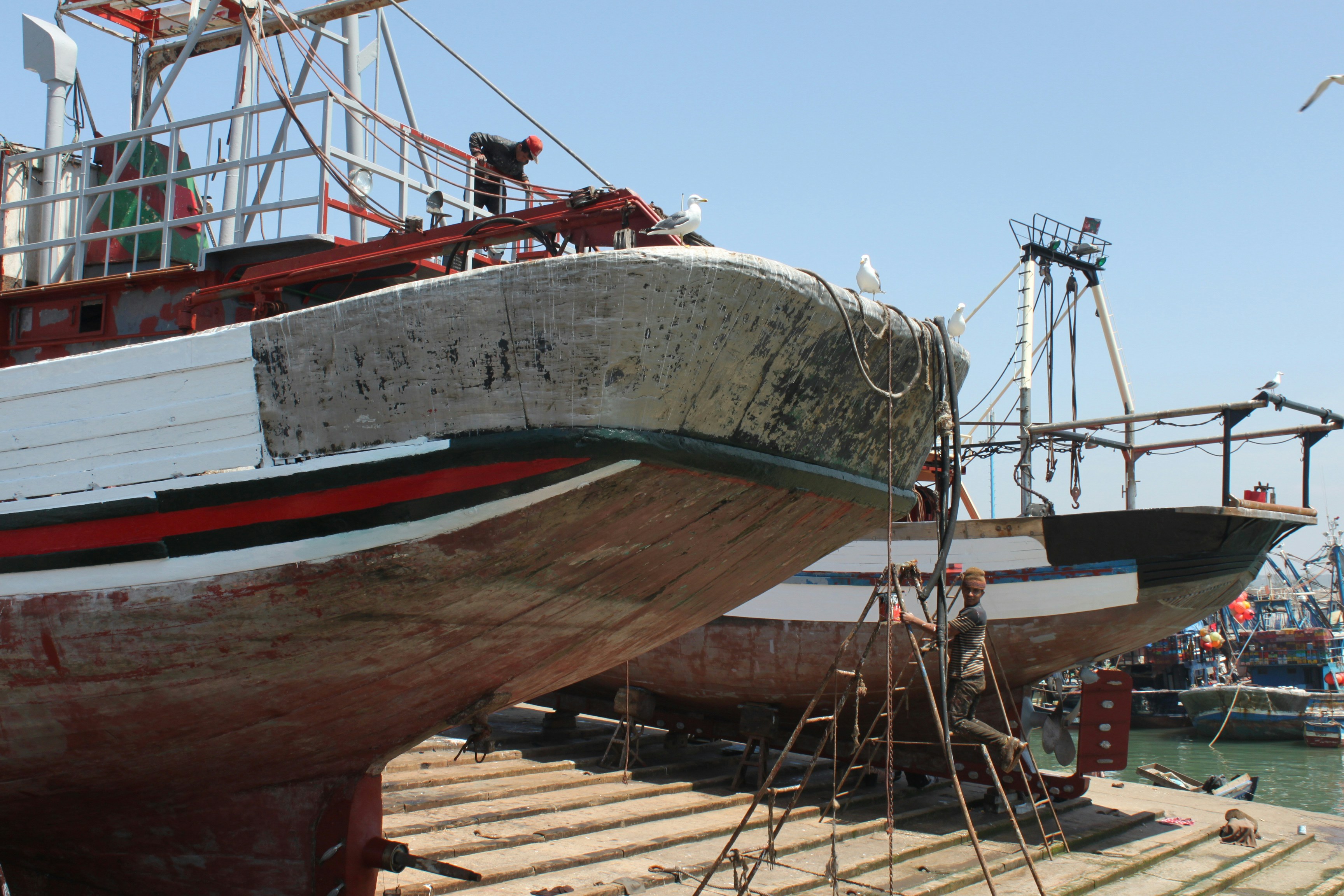 Photo by miguelbaixauli