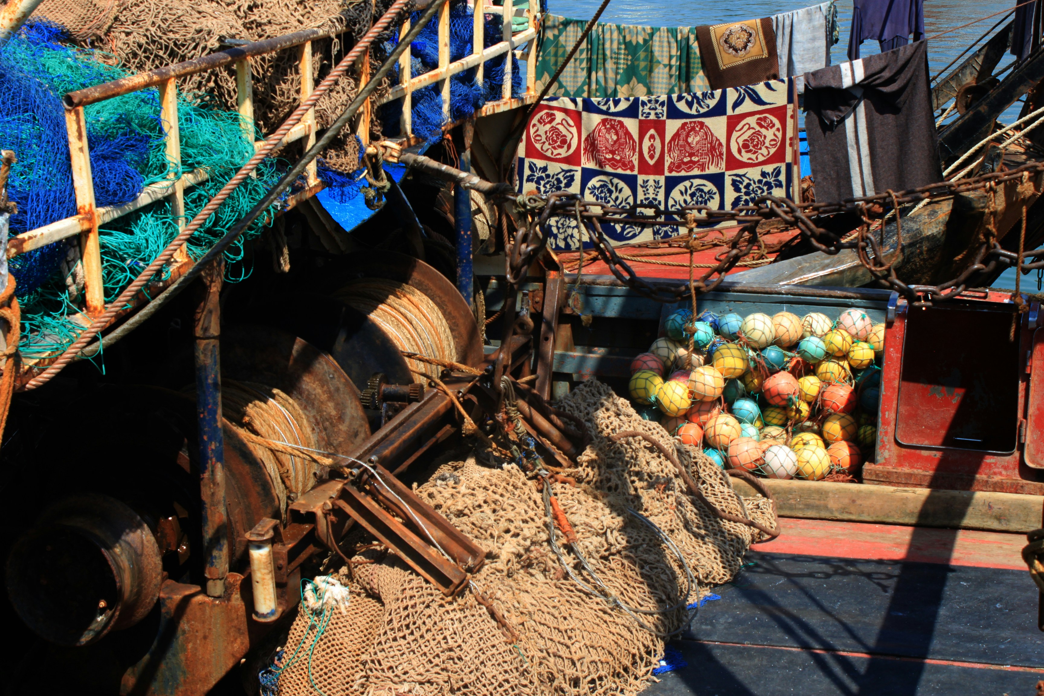 Photo by miguelbaixauli