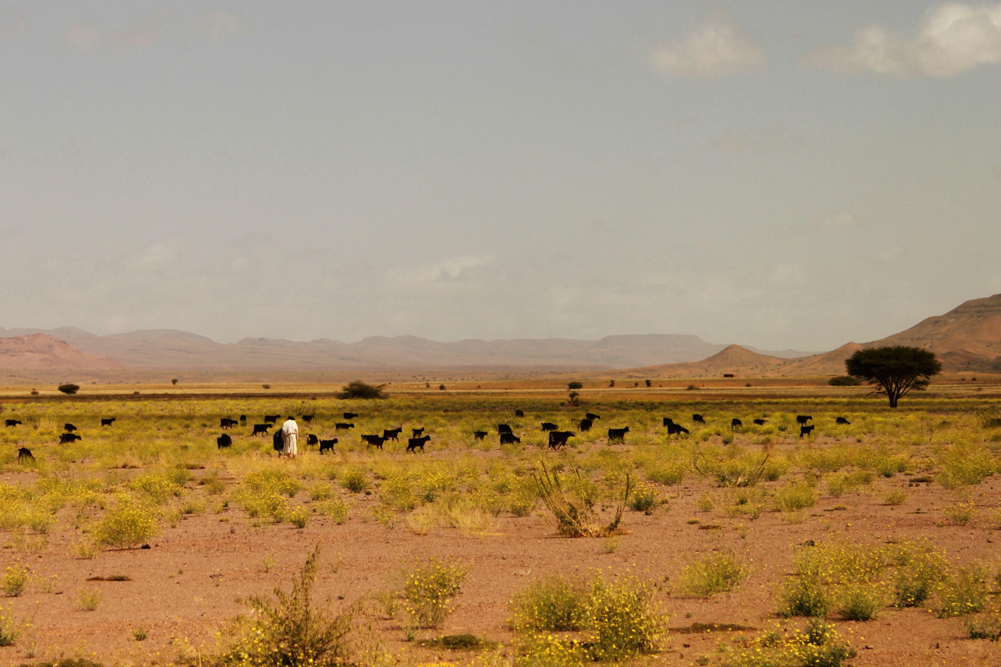 Photo by miguelbaixauli