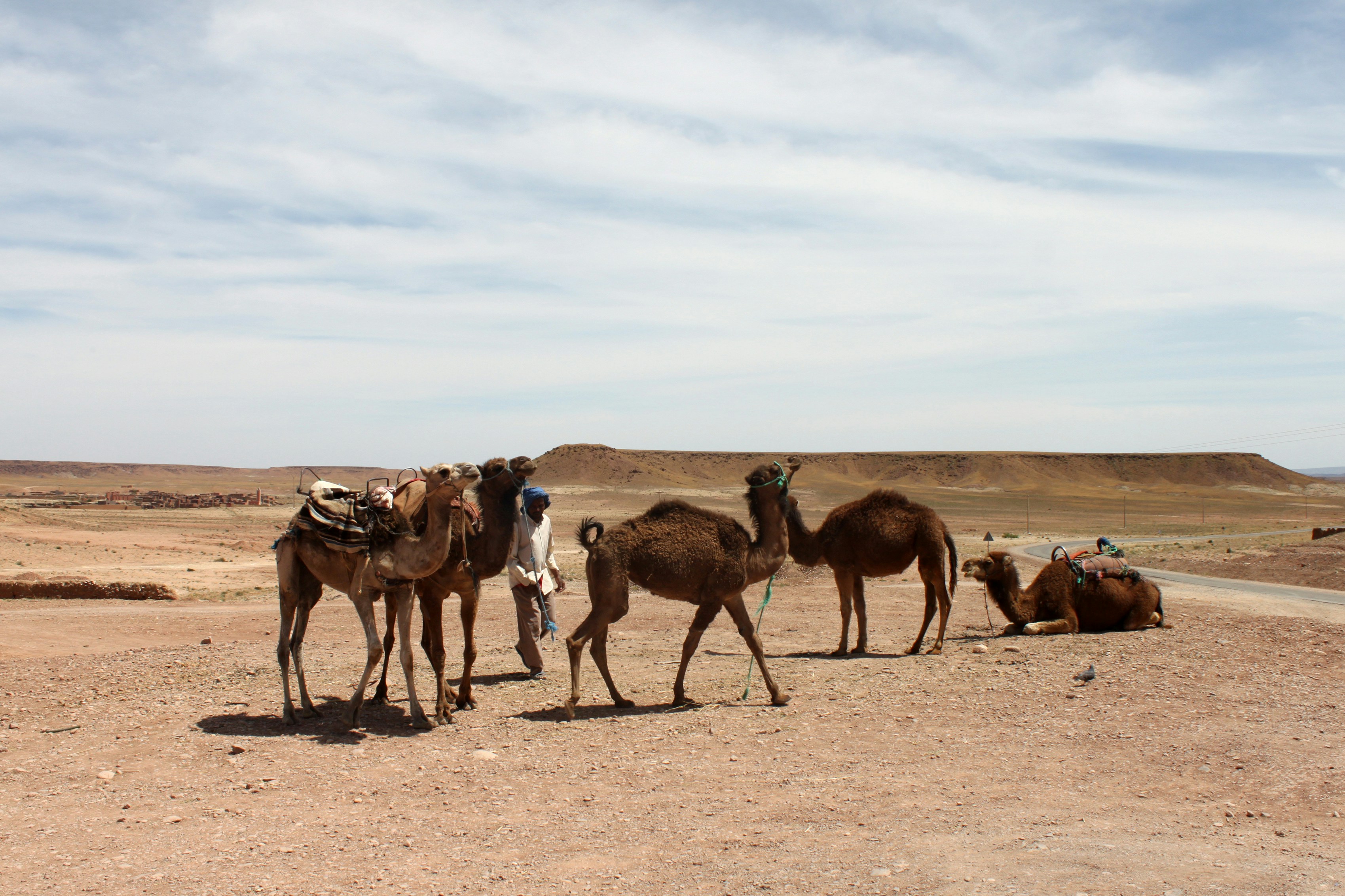 Photo by miguelbaixauli