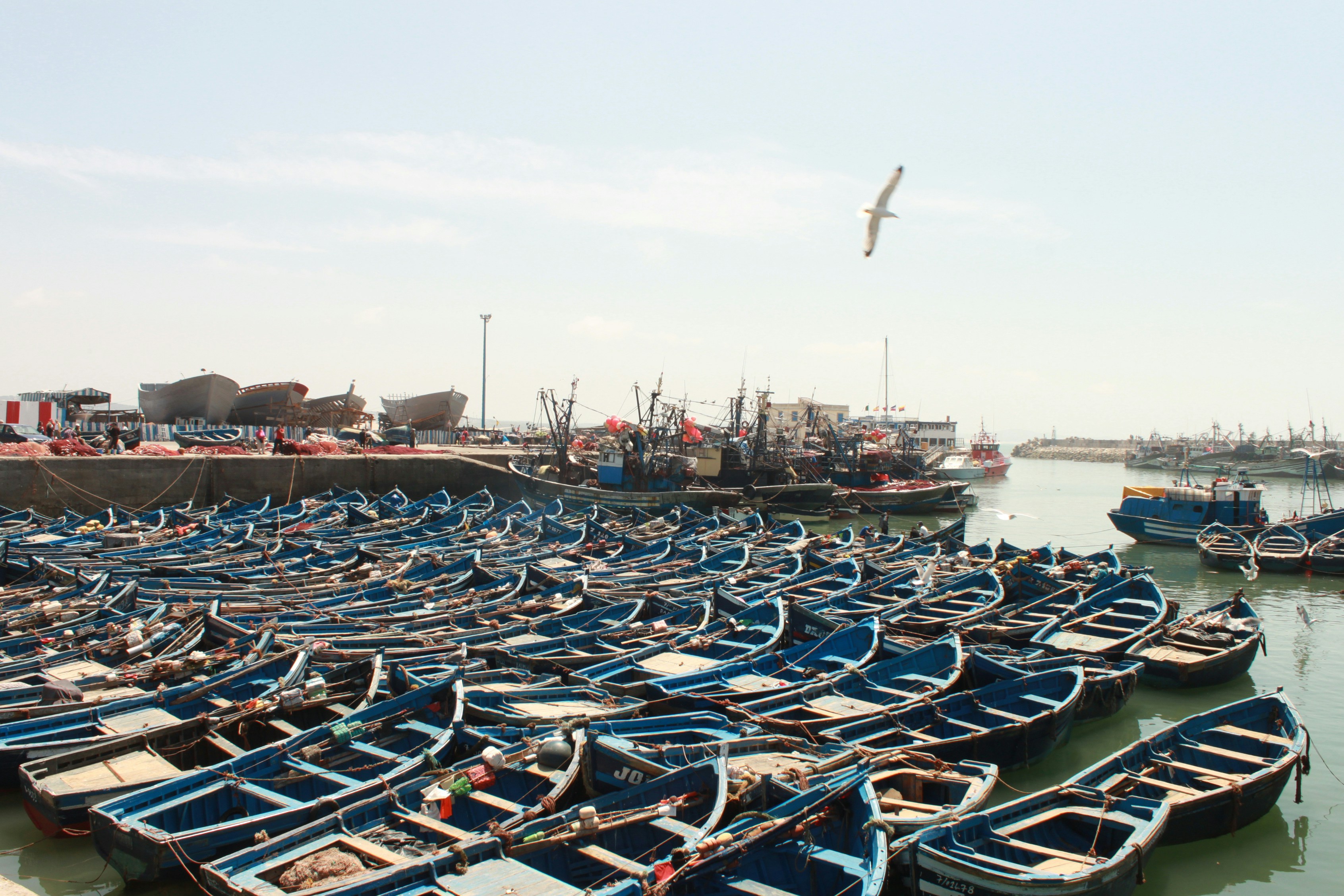 Image: <?php Echo Htmlspecialchars($image[