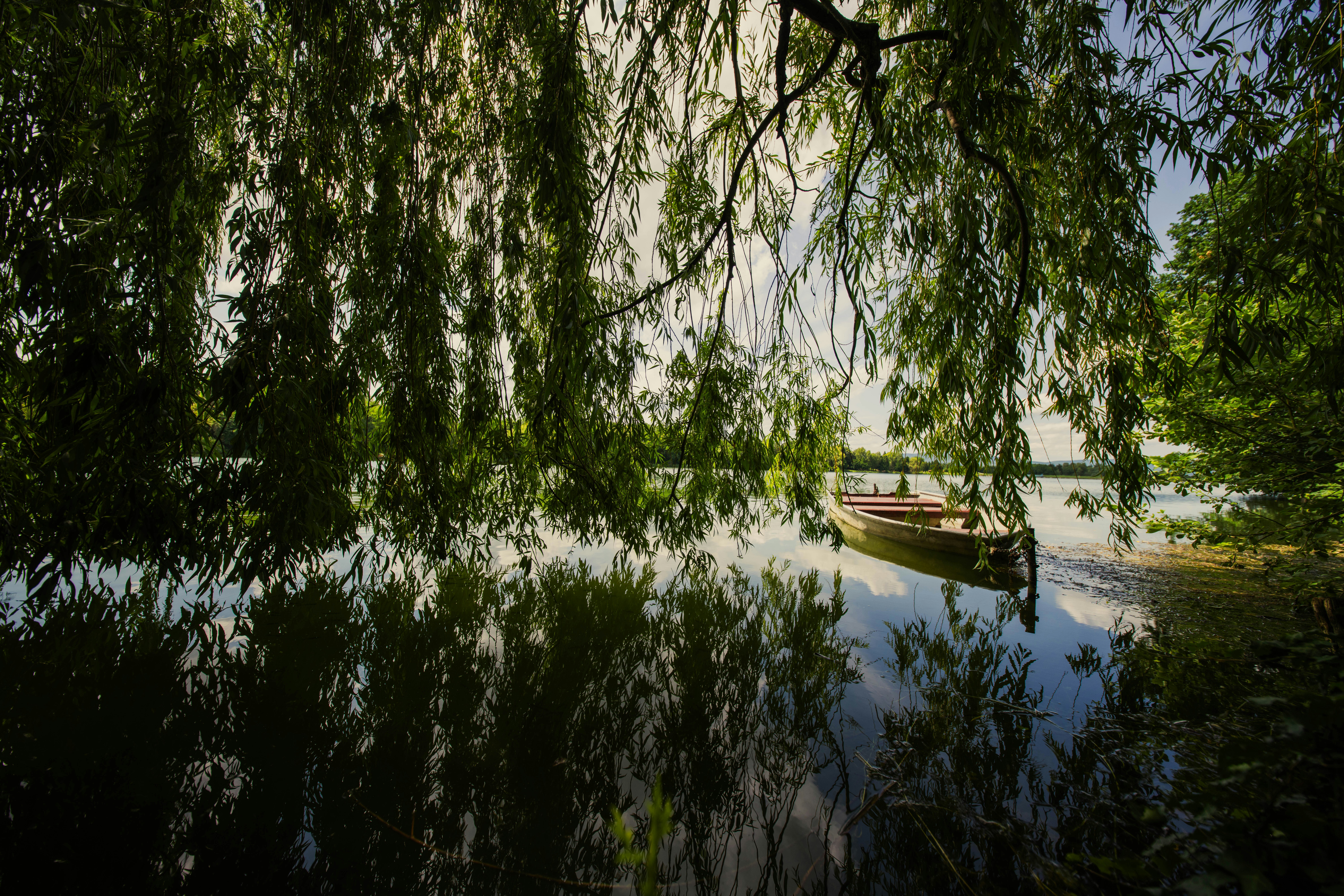 Photo by cmilan1