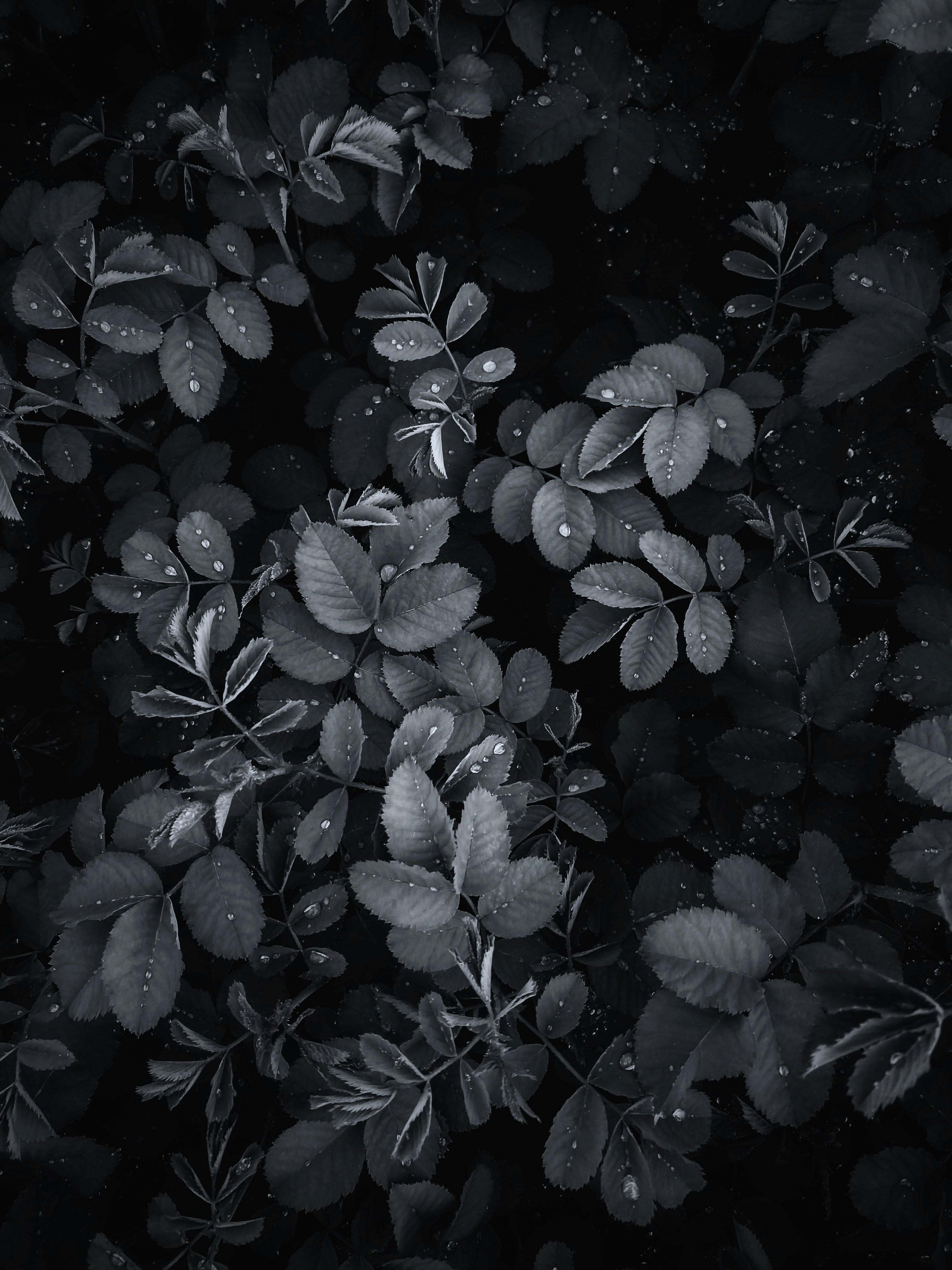 Photo by eugene_golovesov