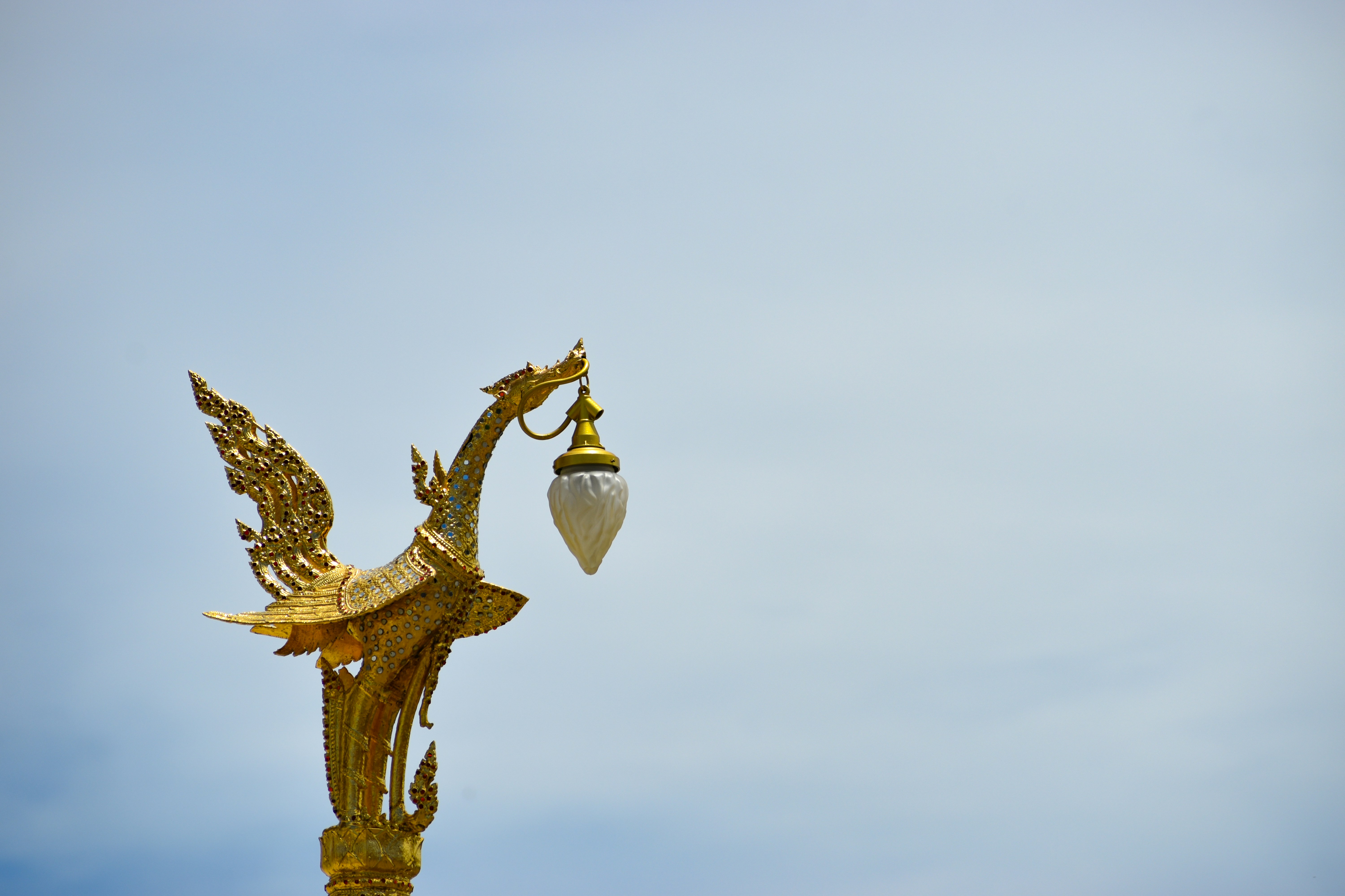 Photo by natigini16_