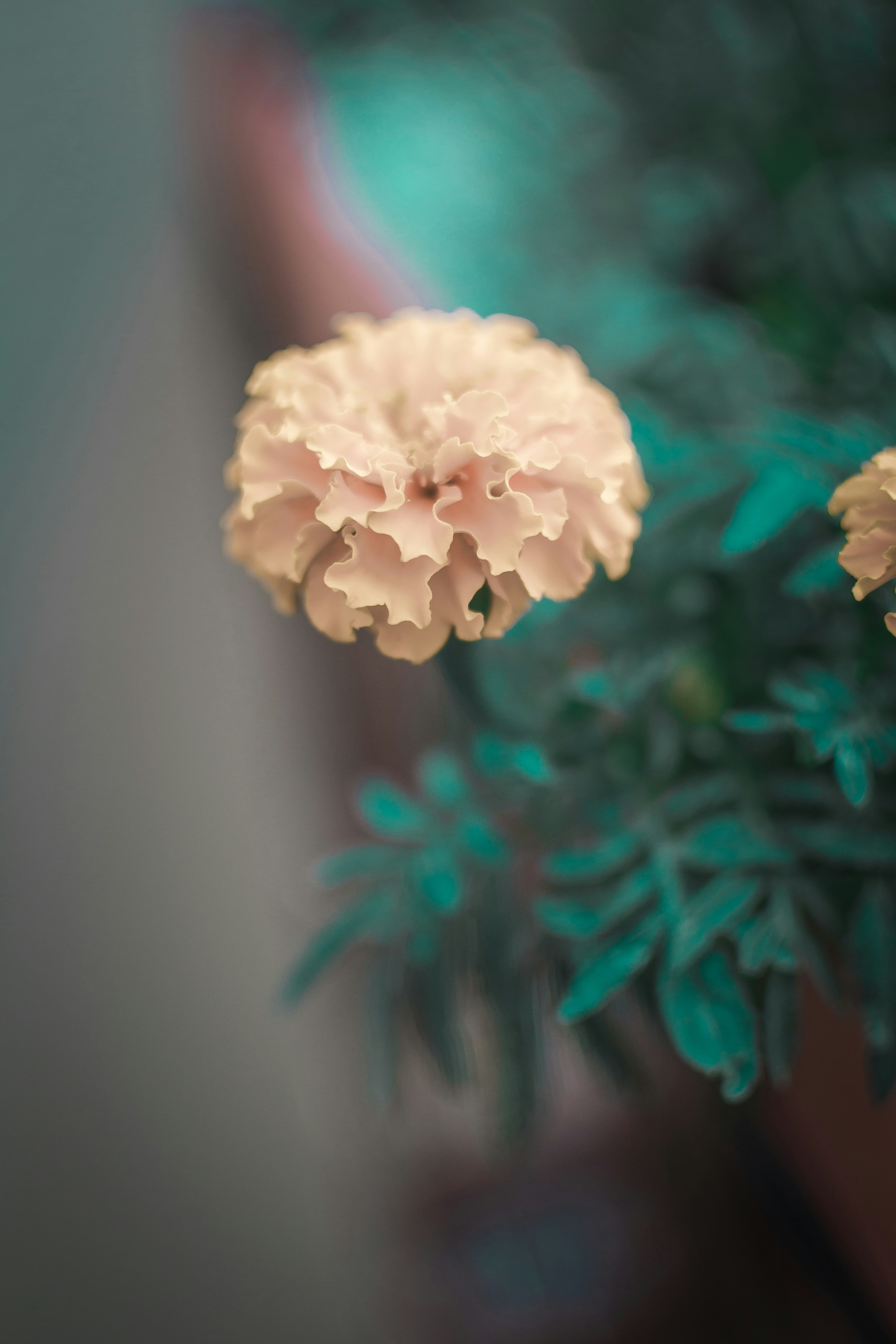 Photo by diseniatica