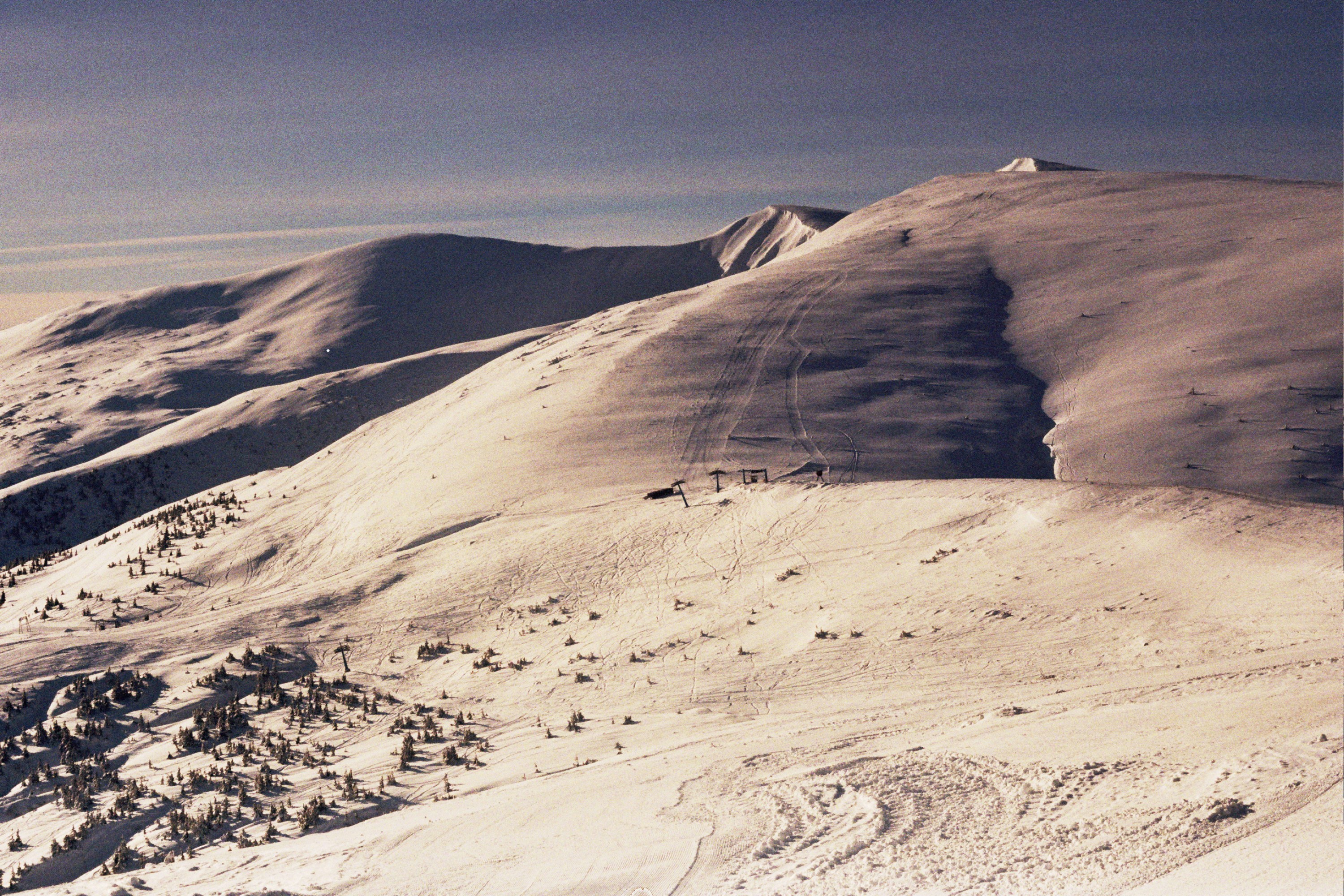 Photo by mcmortygreen