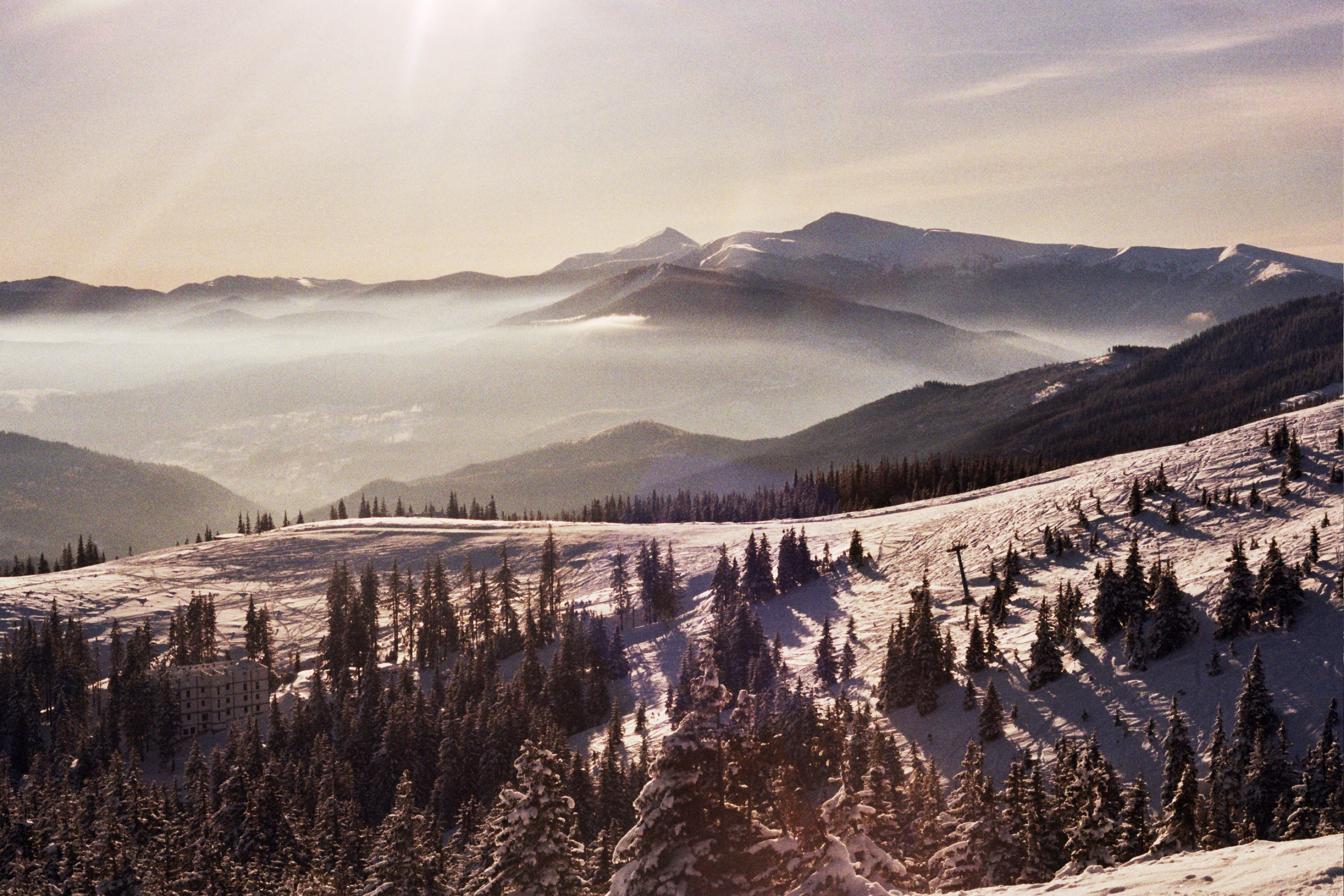 Photo by mcmortygreen