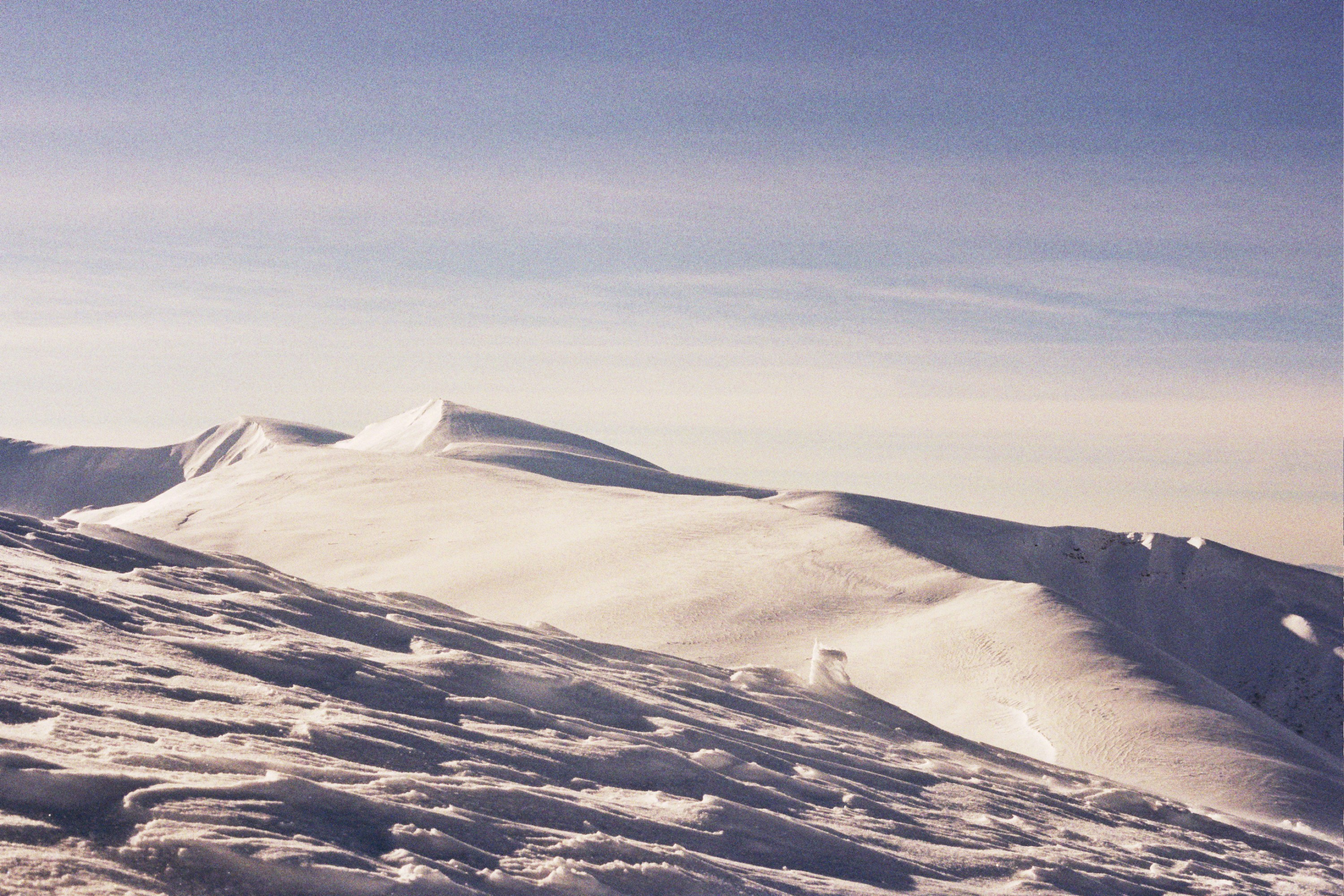 Photo by mcmortygreen