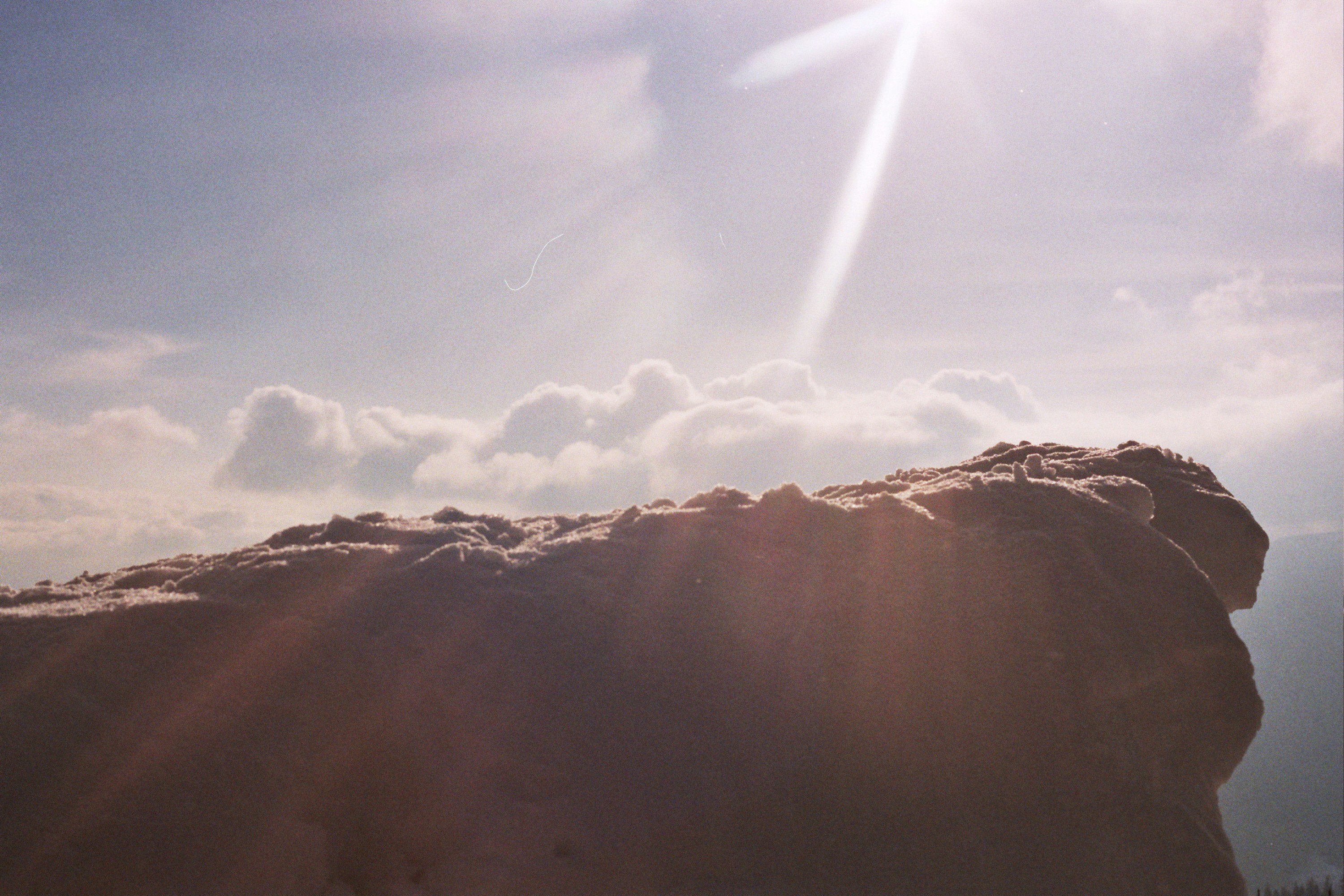 Photo by mcmortygreen