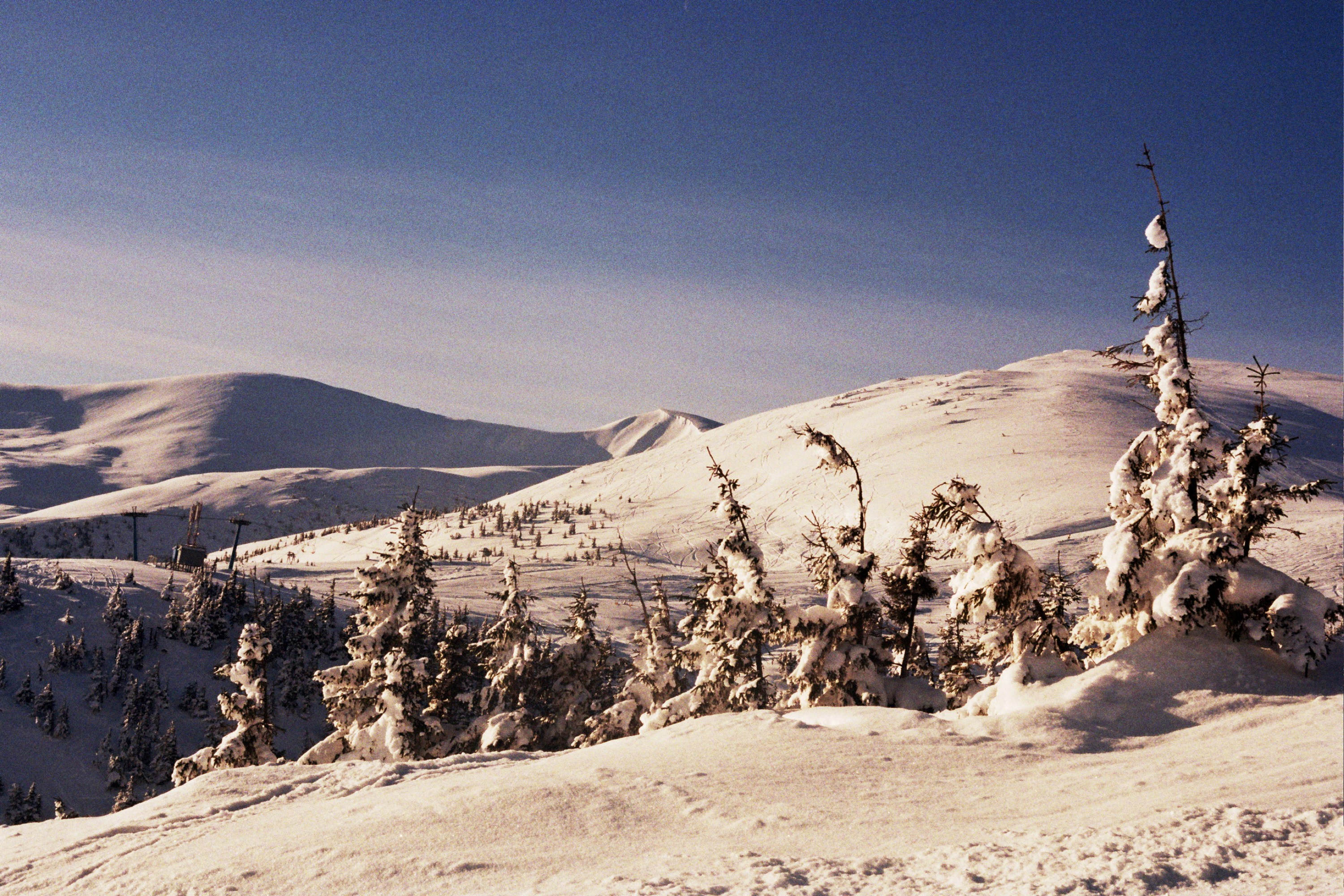 Photo by mcmortygreen