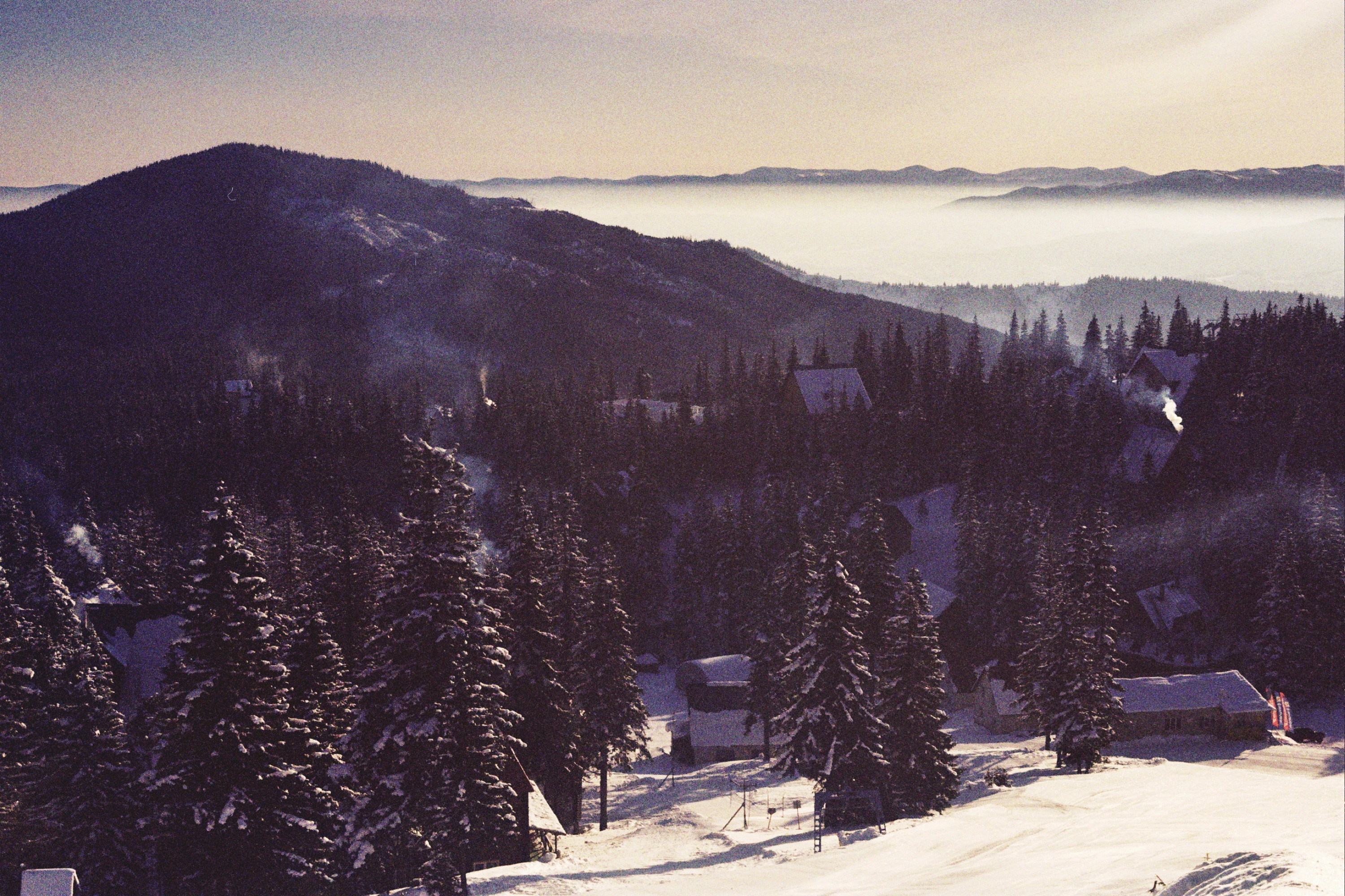 Photo by mcmortygreen