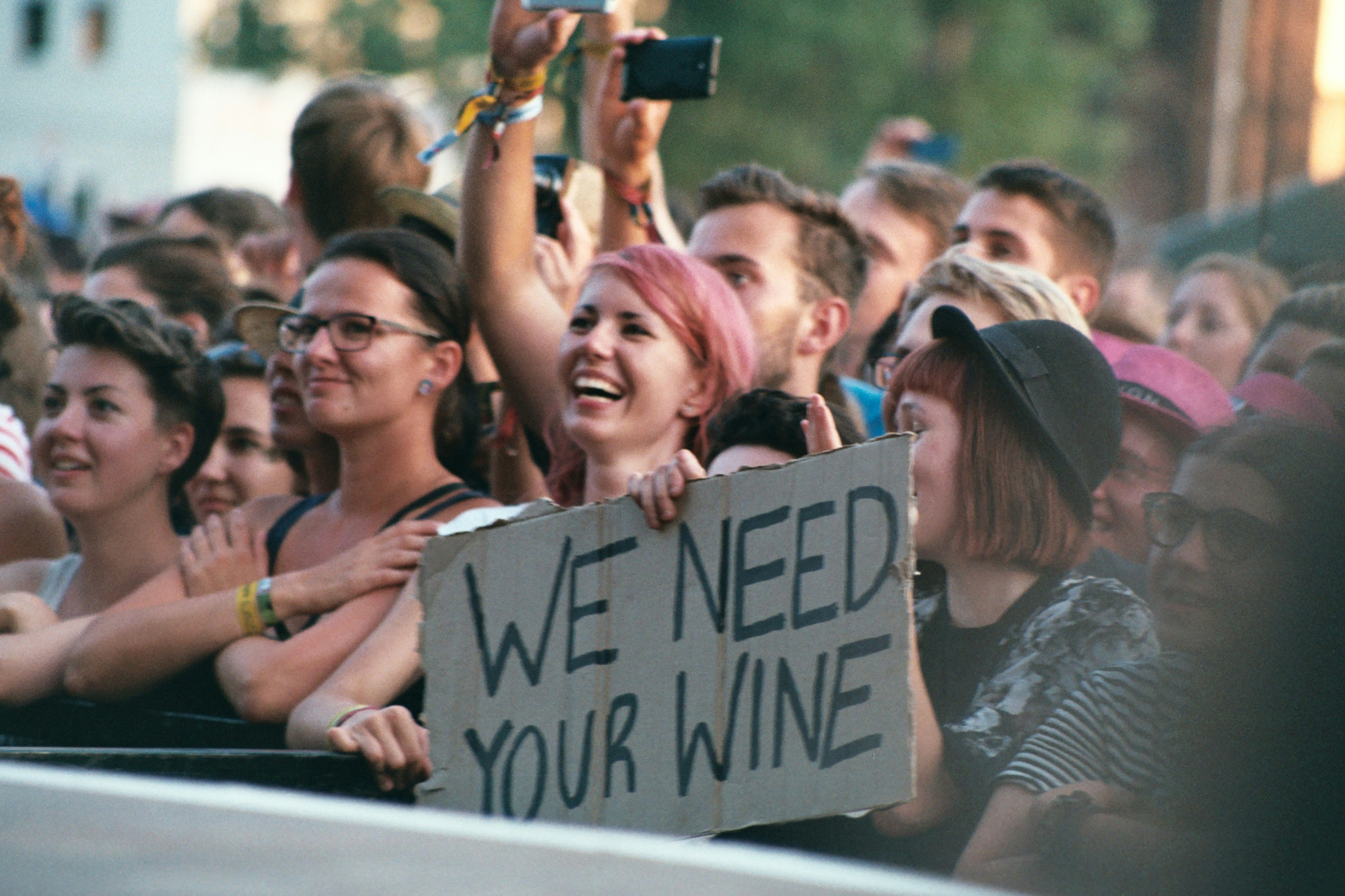 One Fandom to Rule Them All: Why Superfans Are Ditching the Buffet for a Single, Glorious Obsession