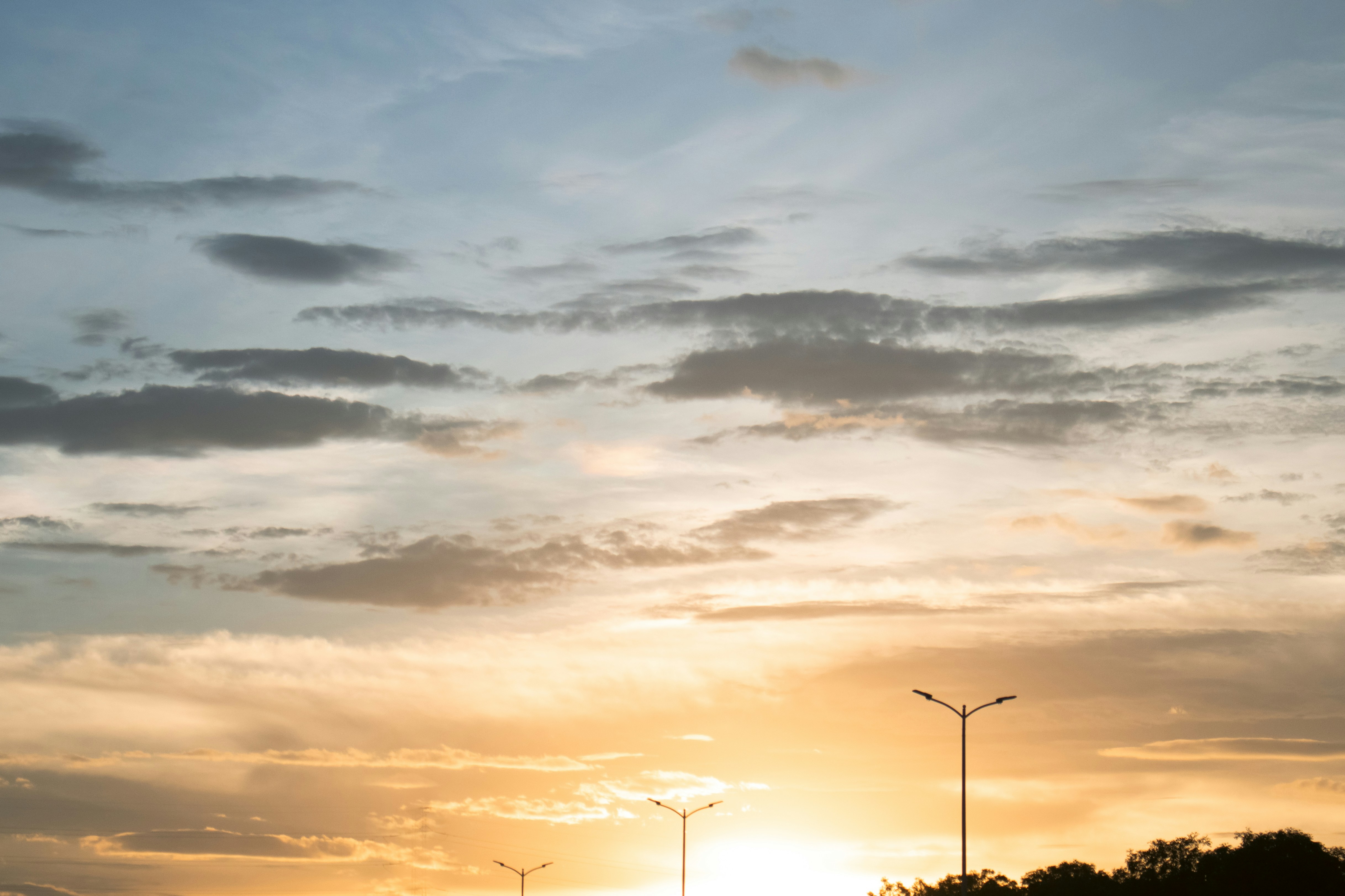 Photo by wildgreyice