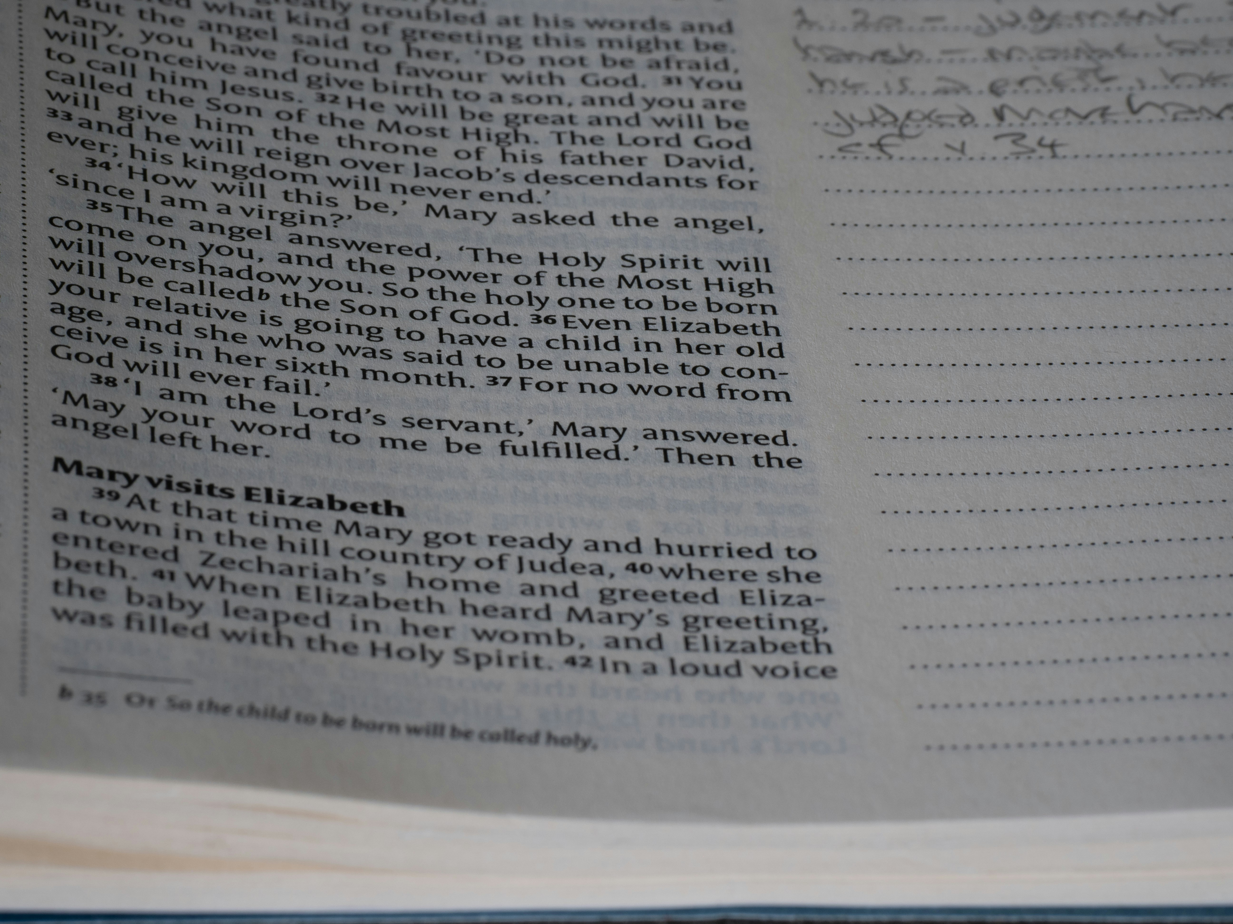 Photo by brett_jordan