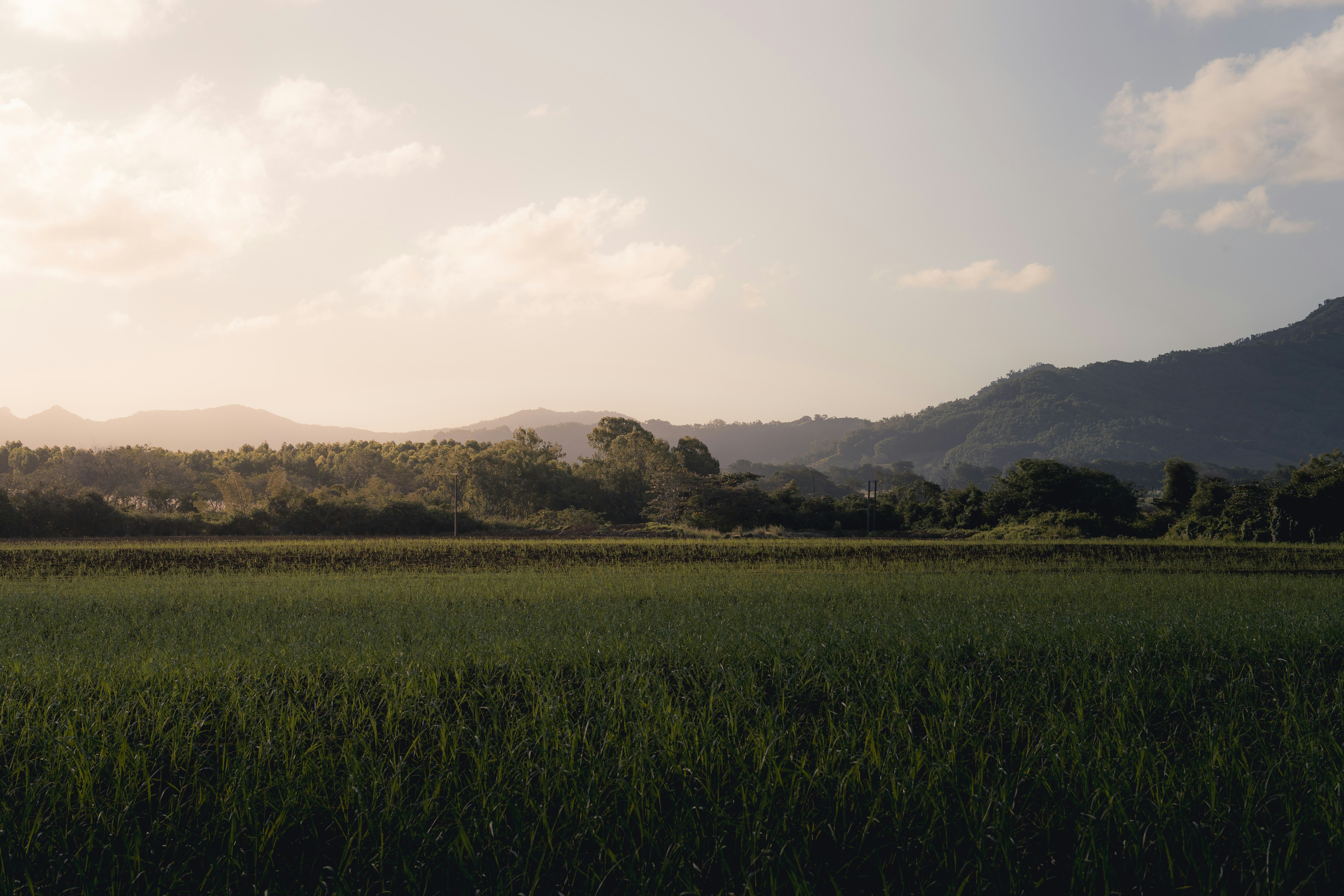 Photo by electerious