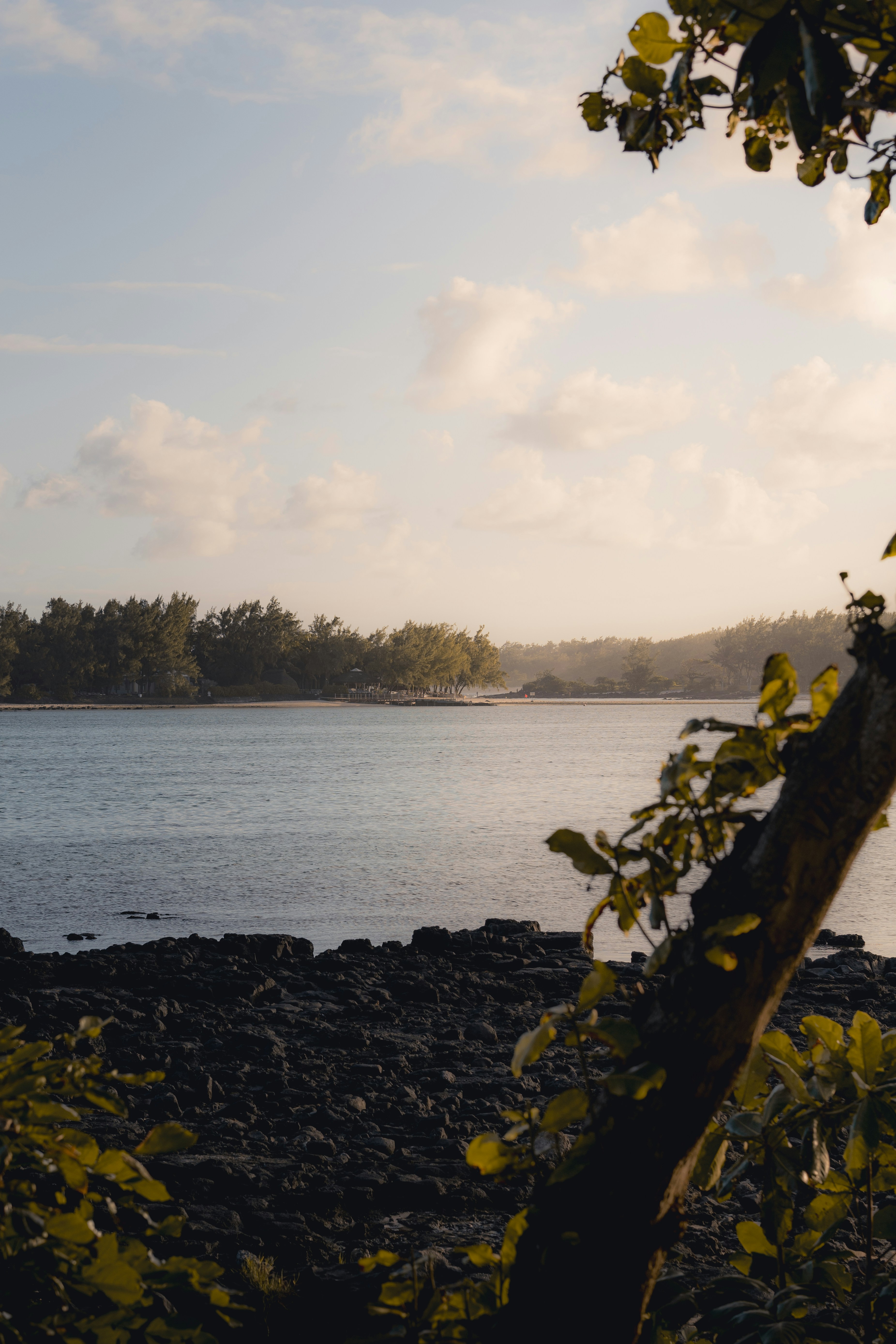 Photo by electerious